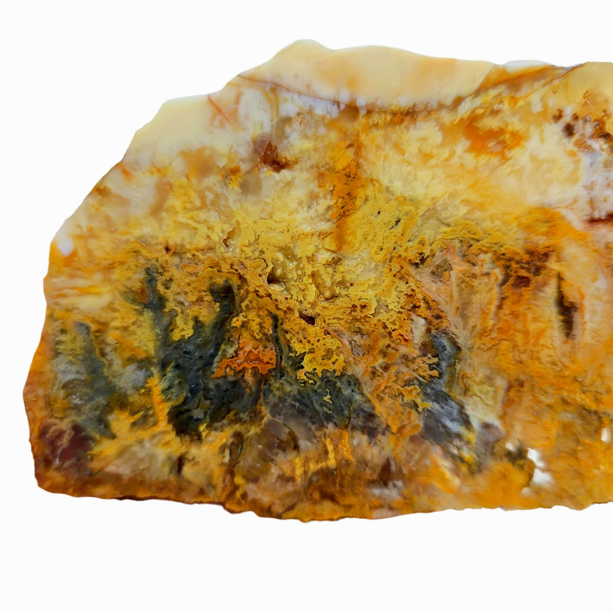 Regency Rose Plume Agate Slab – Hematite Marcasite Plume Detail #3843-Photo2