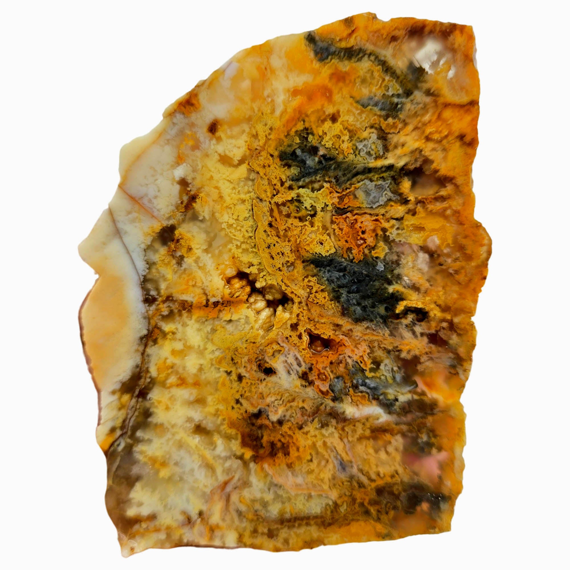 Regency Rose Plume Agate Slab – Hematite Marcasite Plume Detail #3843-Photo3