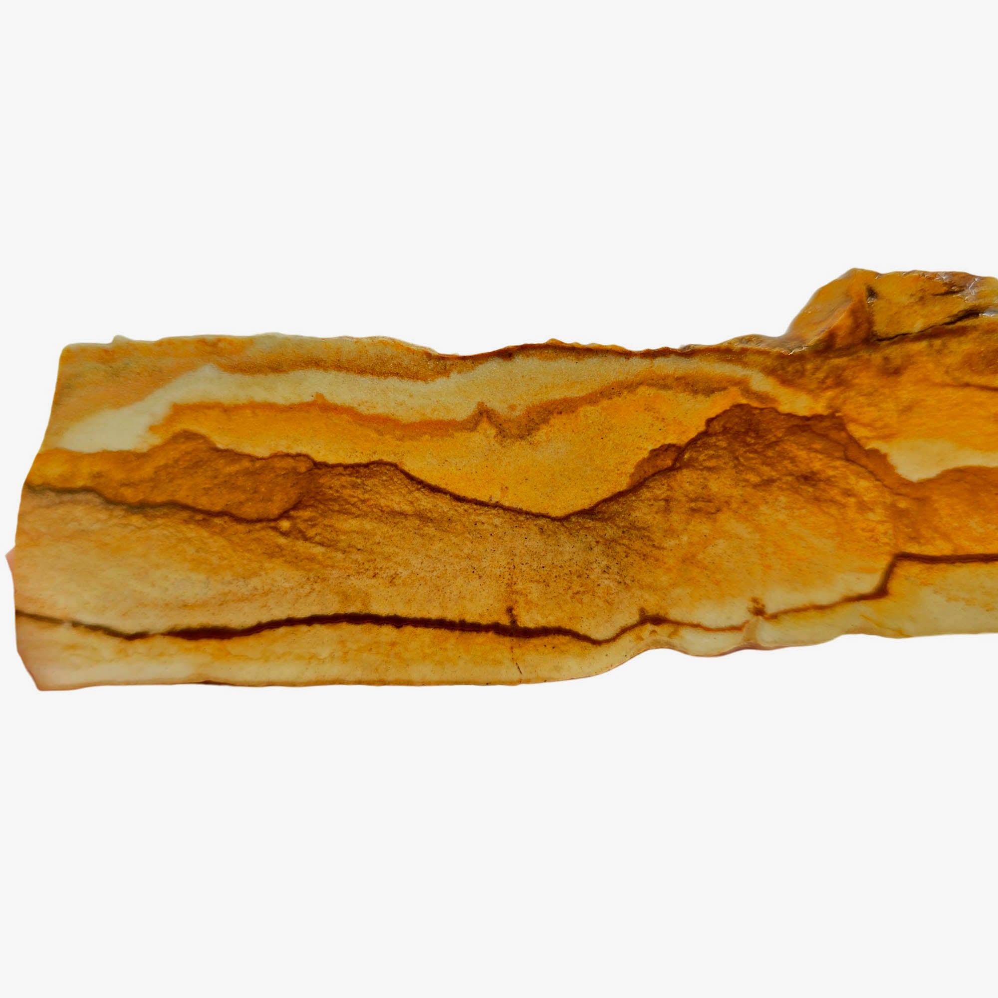 Chicken Track Jasper Slab – Rolling Hills Desert Sandstorm Oregon! #3844-Photo2