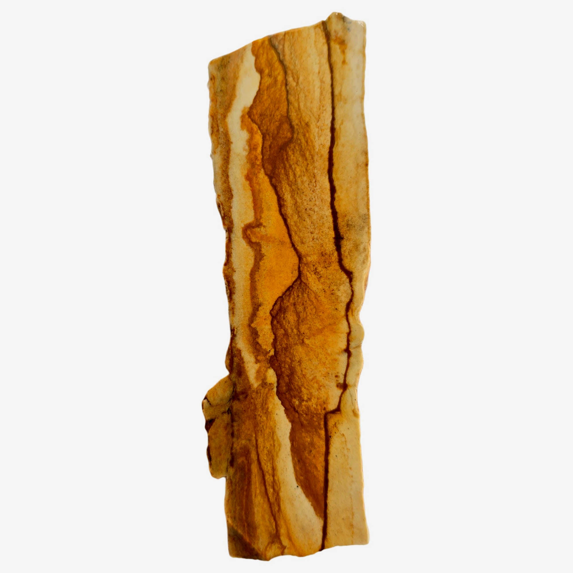 Chicken Track Jasper Slab – Rolling Hills Desert Sandstorm Oregon! #3844-Photo3