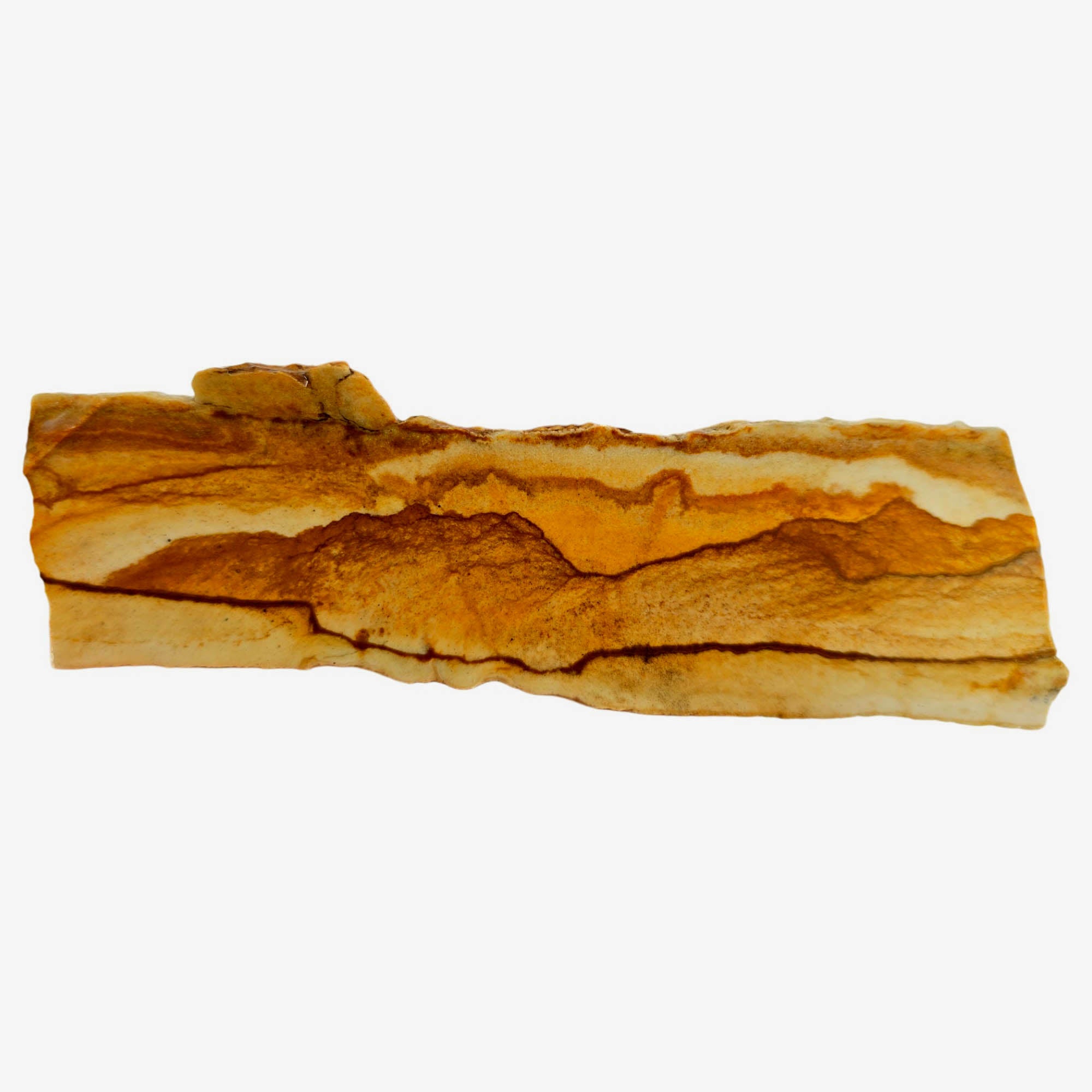 Chicken Track Jasper Slab – Rolling Hills Desert Sandstorm Oregon! #3844-Photo4