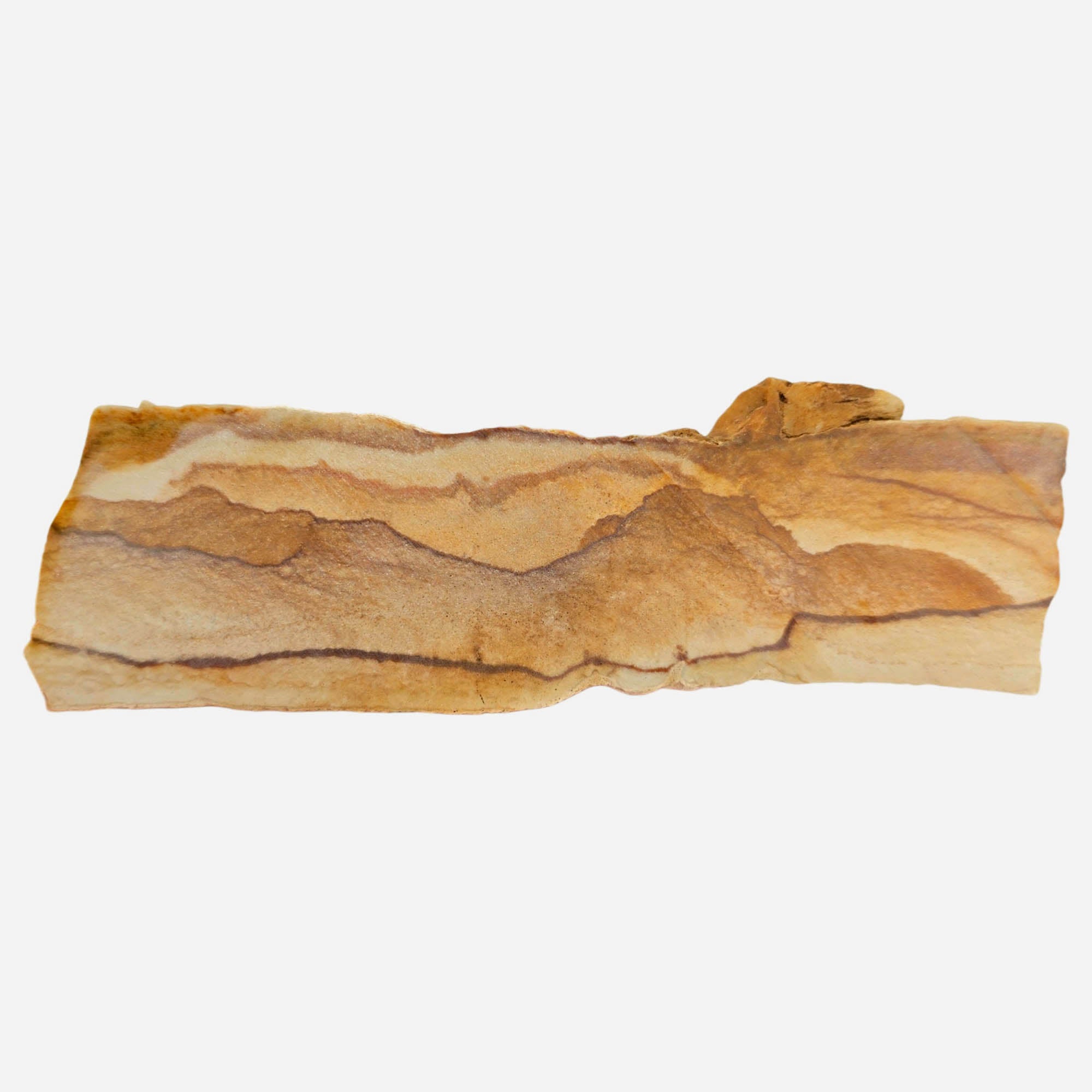 Chicken Track Jasper Slab Dry – Rolling Hills Desert Sandstorm Oregon! #3844-Photo5