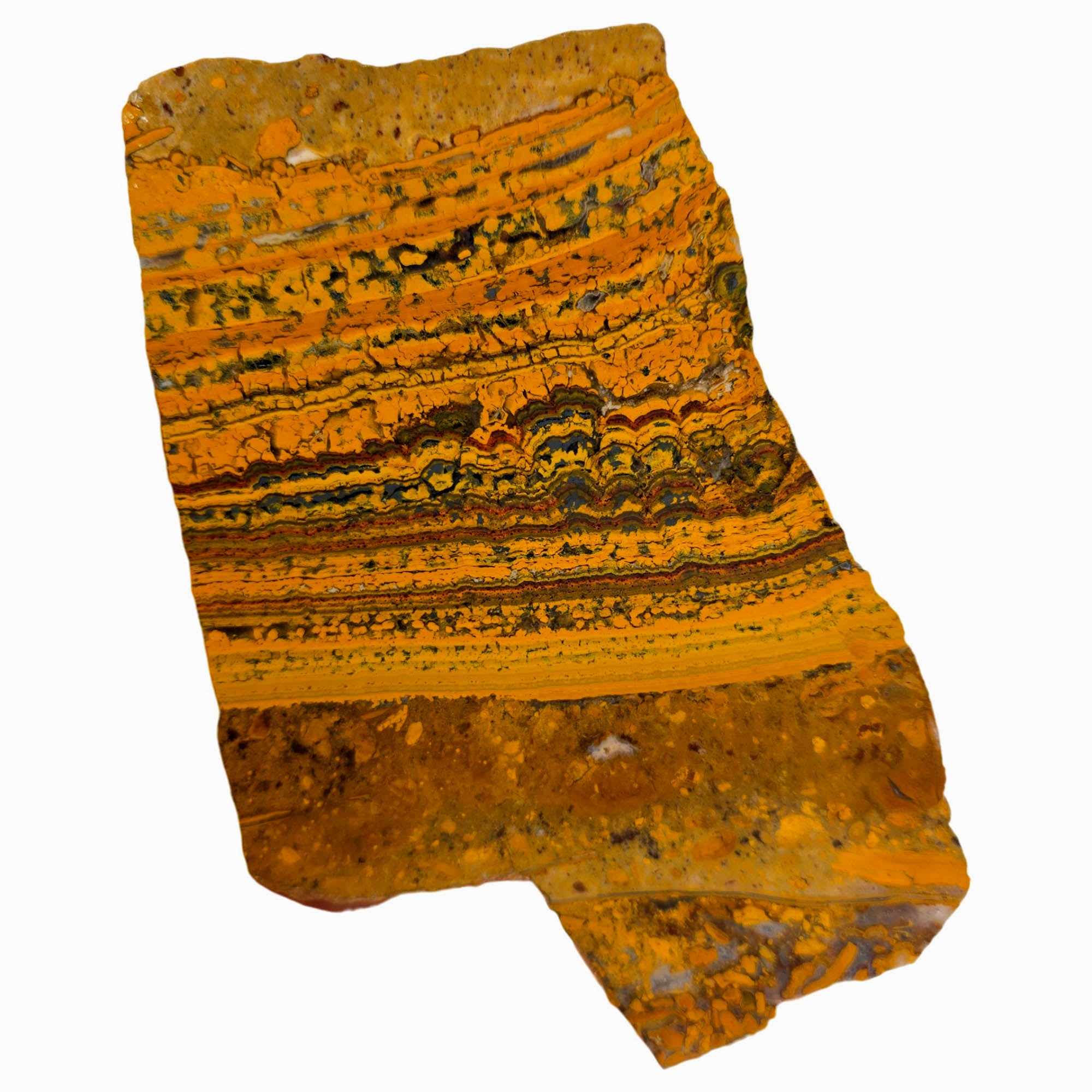 Apple Valley Jasper Slab – Wavy Stromatolites Hematite Sparkling Quartz #3845-Photo1