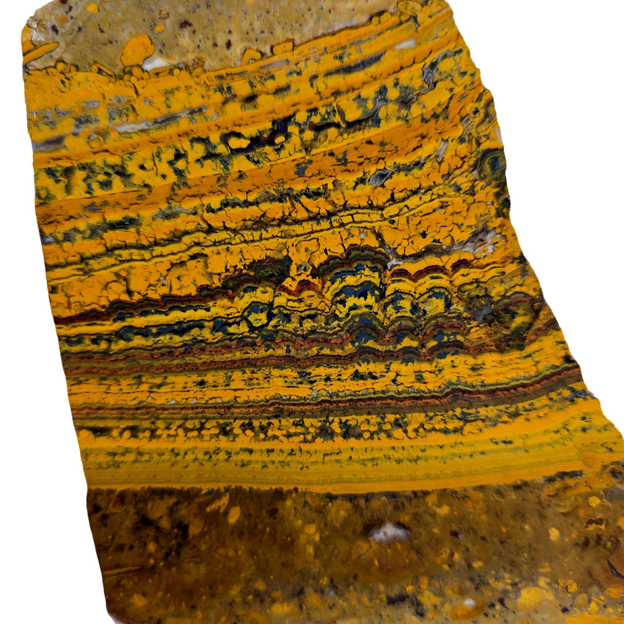 Apple Valley Jasper Slab – Wavy Stromatolites Hematite Sparkling Quartz #3845-Photo2