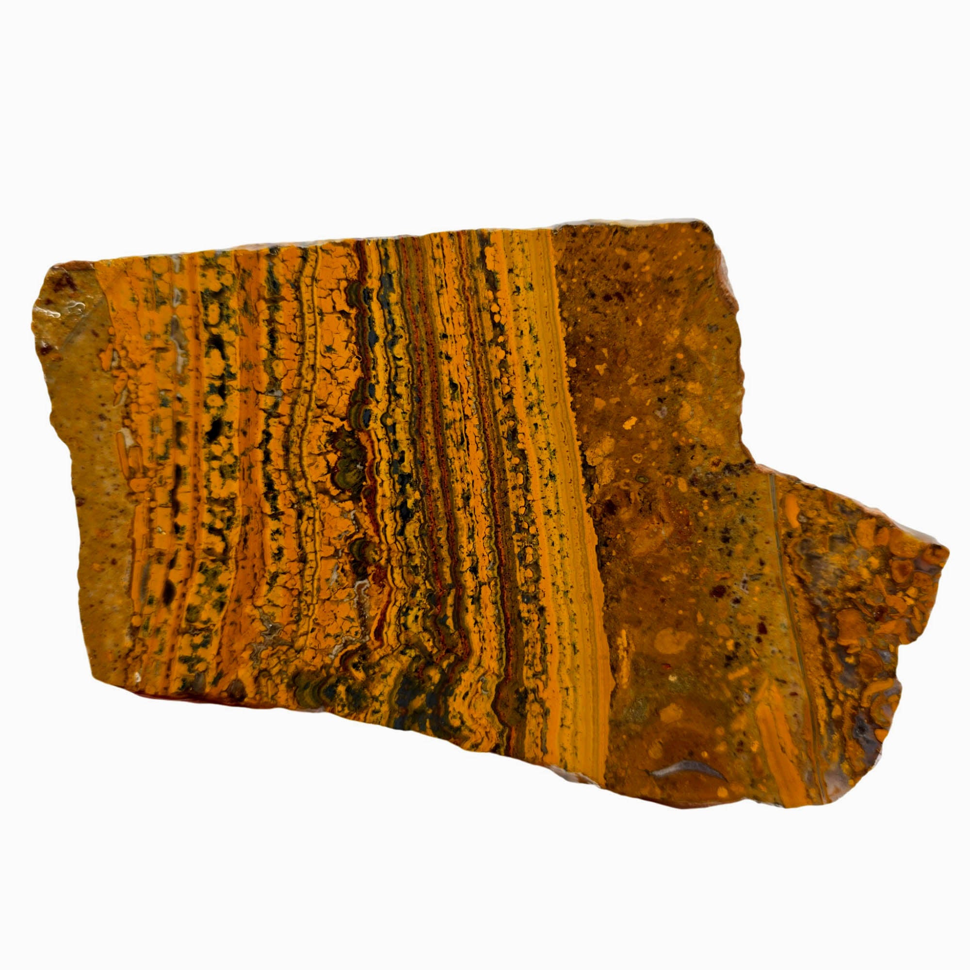 Apple Valley Jasper Slab – Wavy Stromatolites Hematite Sparkling Quartz #3845-Photo3