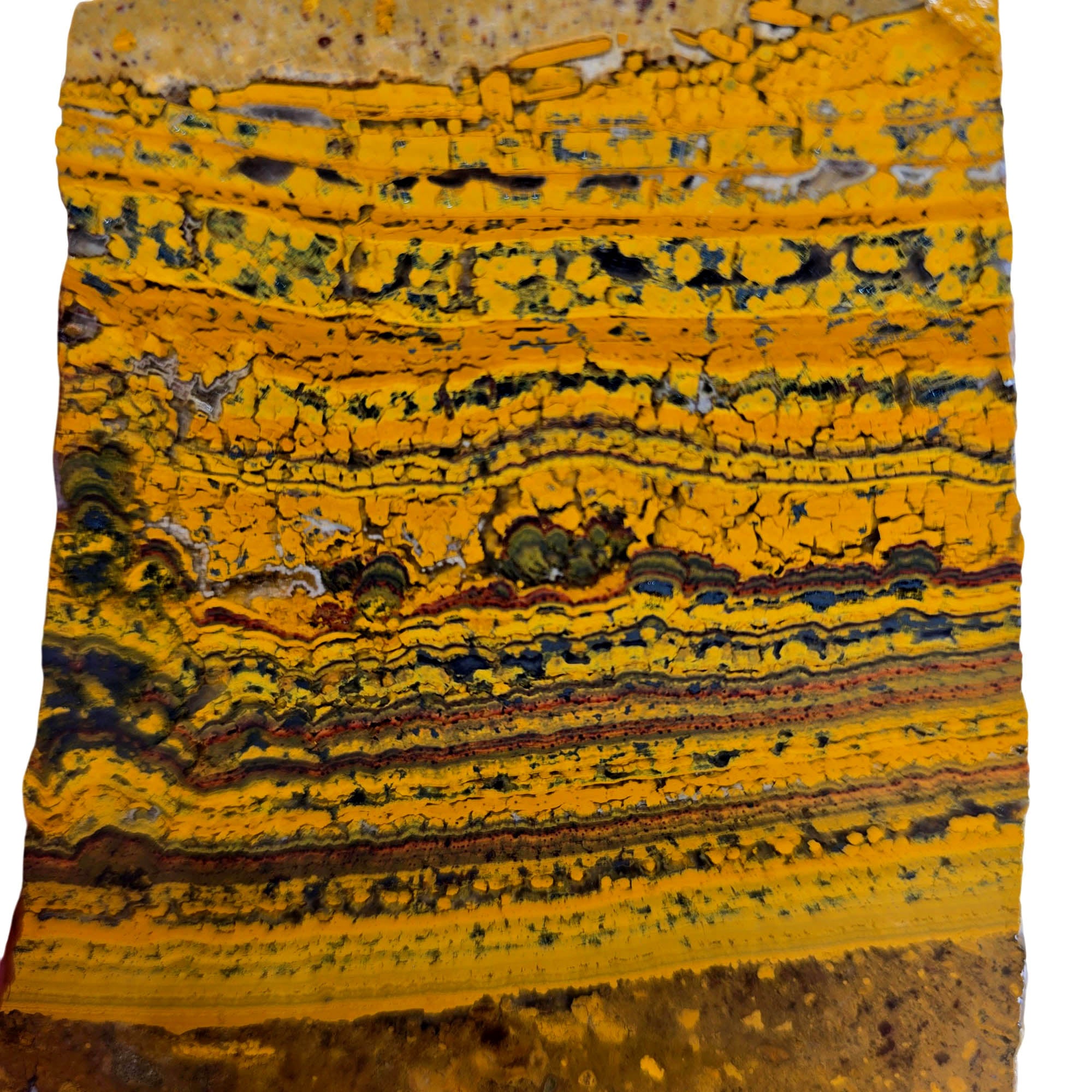 Apple Valley Jasper Slab – Wavy Stromatolites Hematite Sparkling Quartz #3845-Photo4