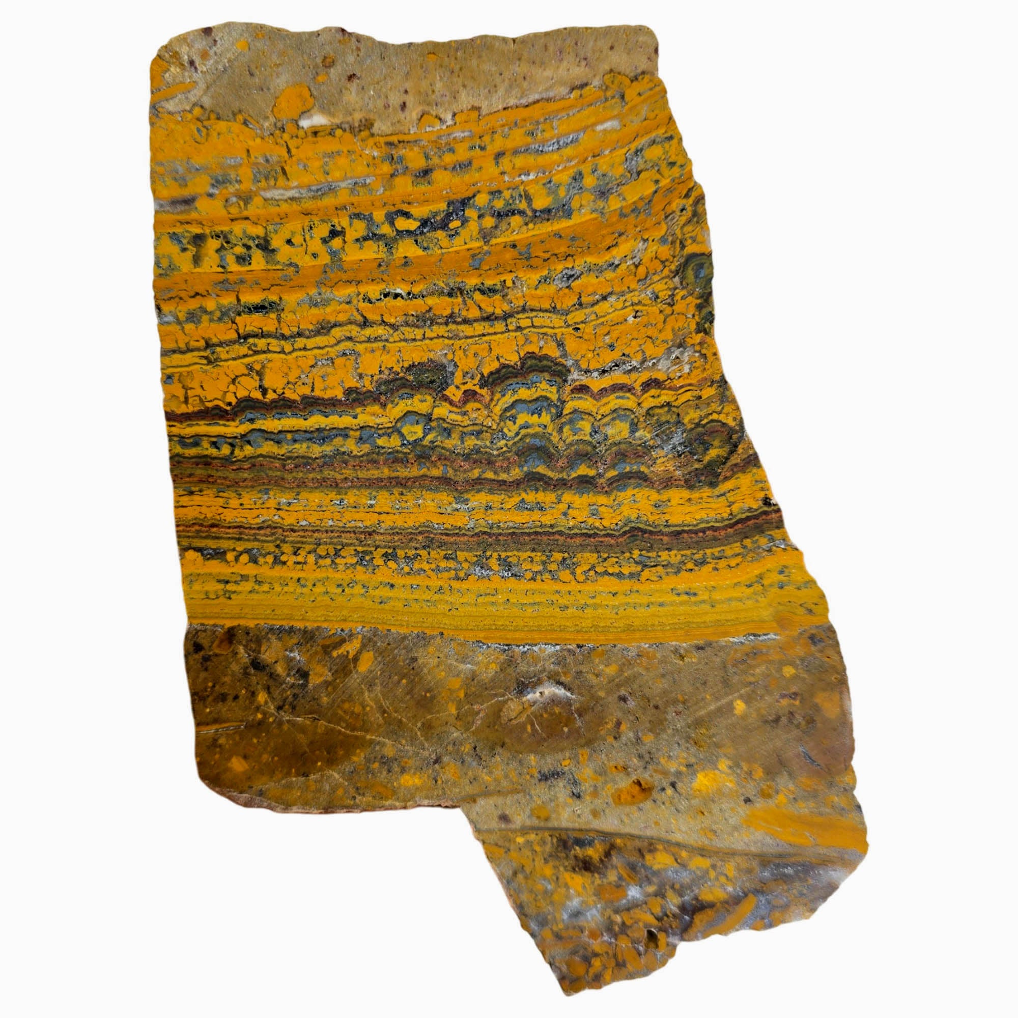 Apple Valley Jasper Slab Dry – Wavy Stromatolites Hematite Sparkling Quartz #3845-Photo5