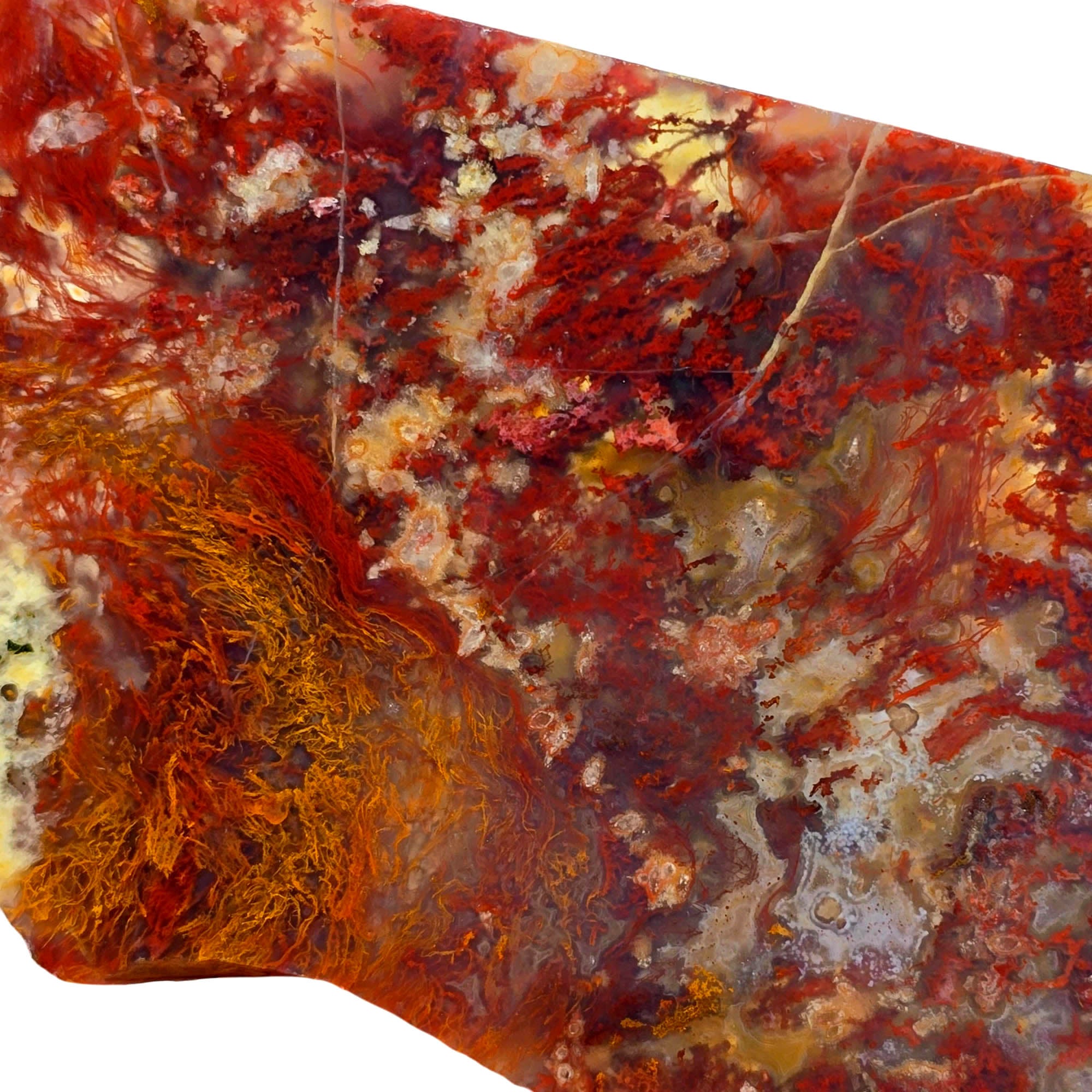 Powell Butte Plume Agate Slab – Bright Red Moss Streamer #3847-Photo3