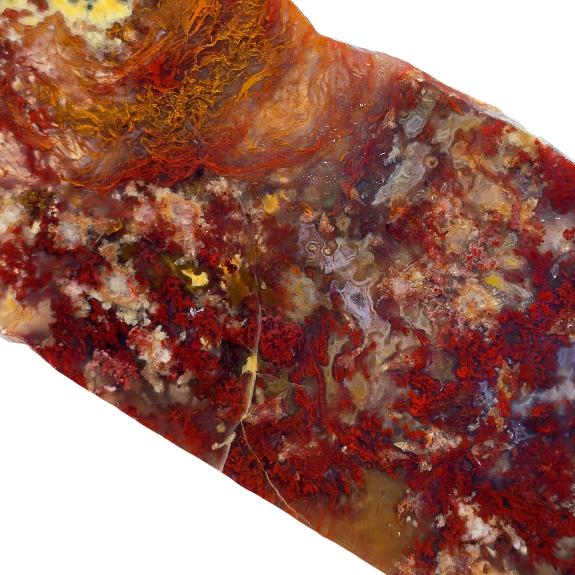 Powell Butte Plume Agate Slab – Bright Red Moss Streamer #3847-Photo5