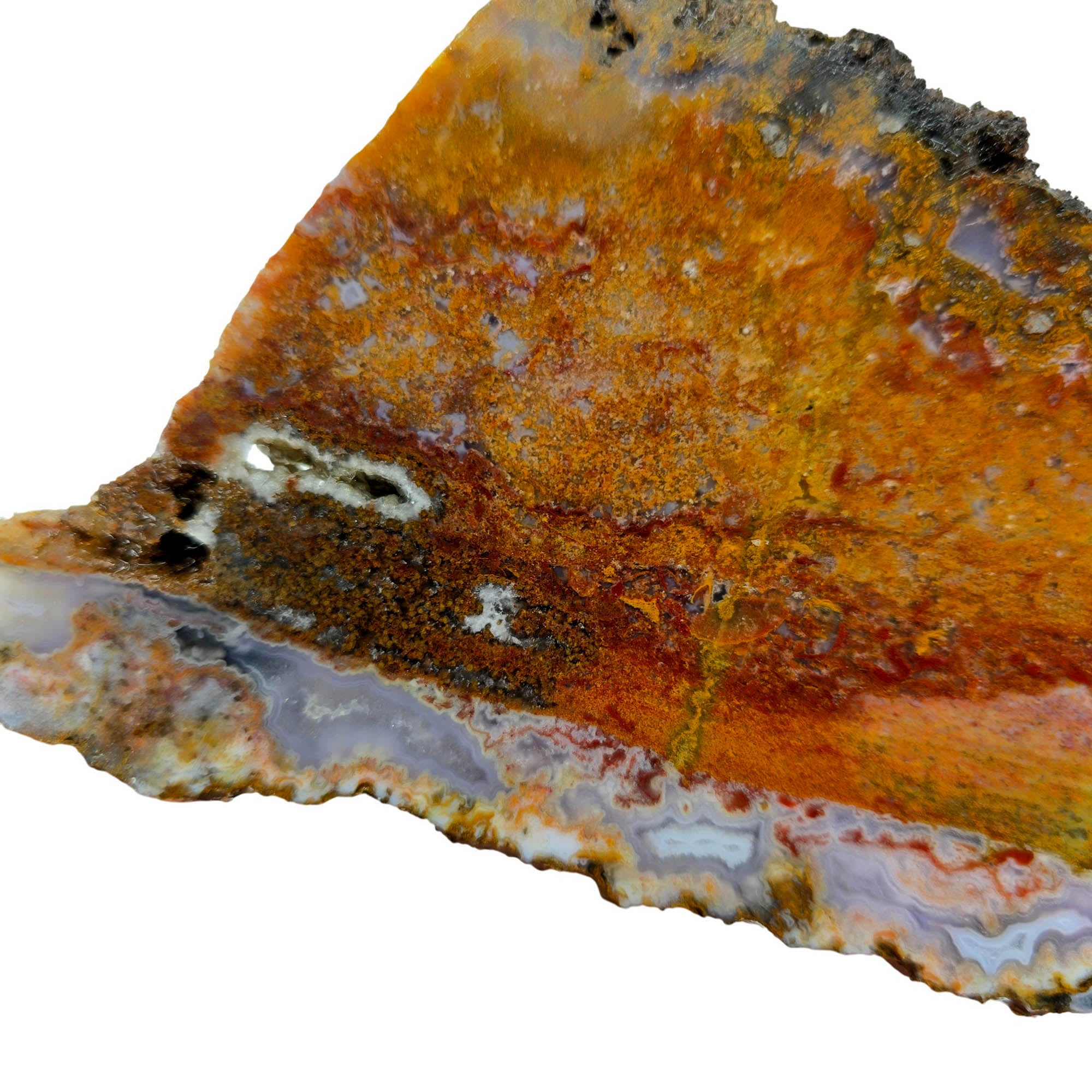 Agua Nueva Moss Agate Slab – Static Moss Fortification Mexican #3849-Photo3