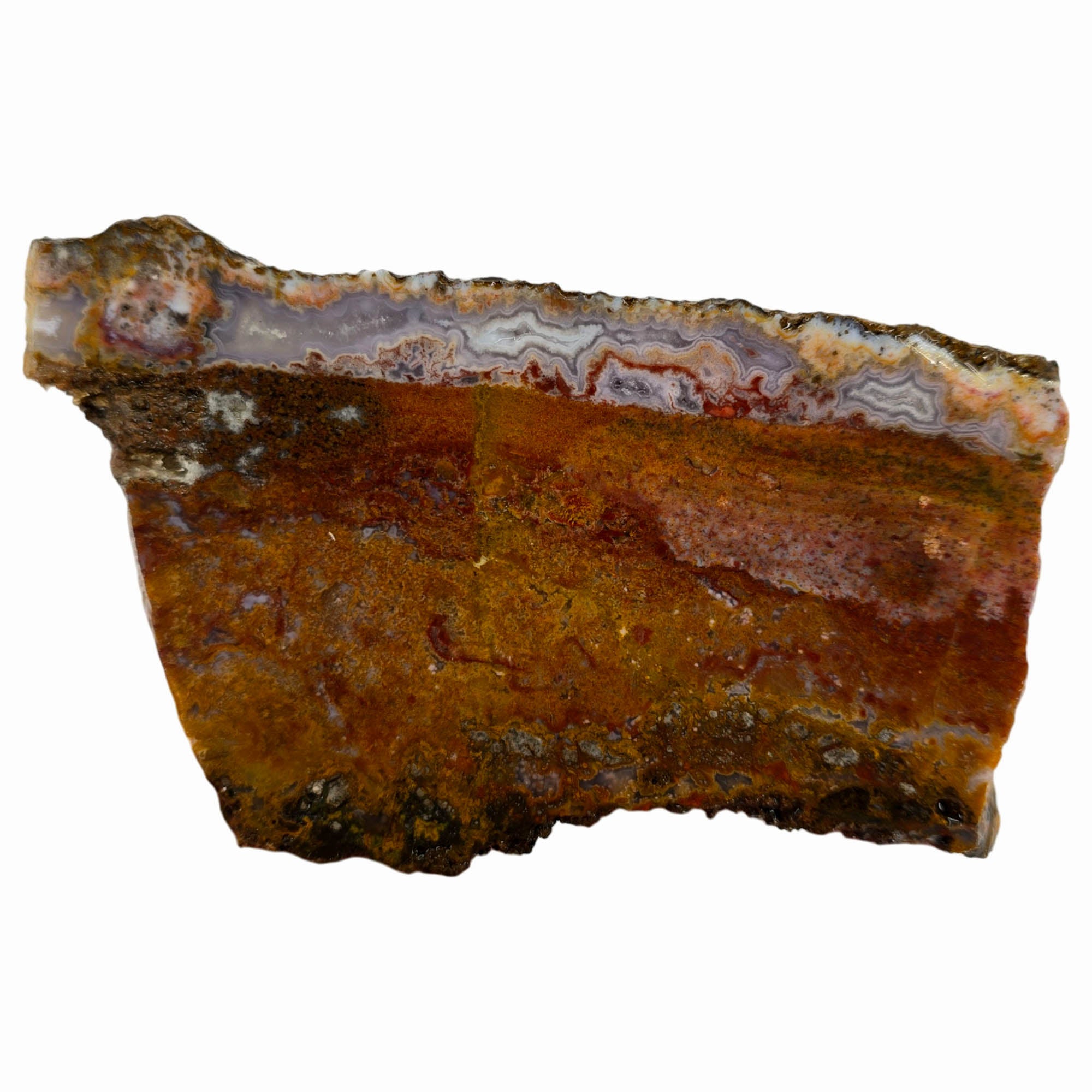 Agua Nueva Moss Agate Slab – Static Moss Fortification Mexican #3849-Photo4