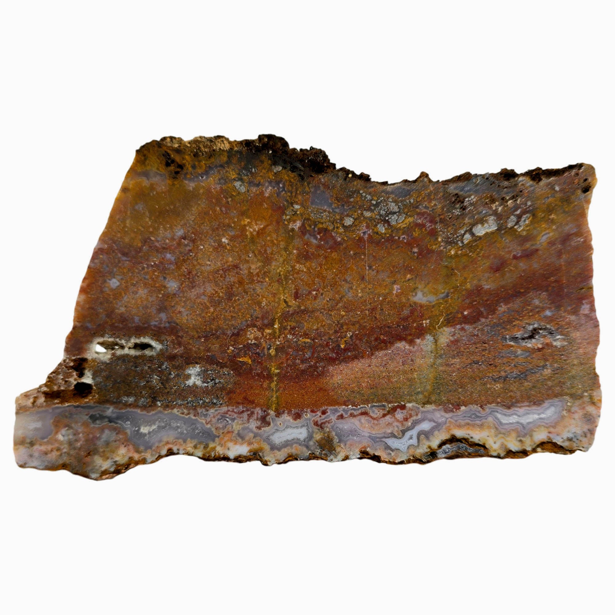 Agua Nueva Moss Agate Slab – Static Moss Fortification Mexican Dry #3849-Photo6