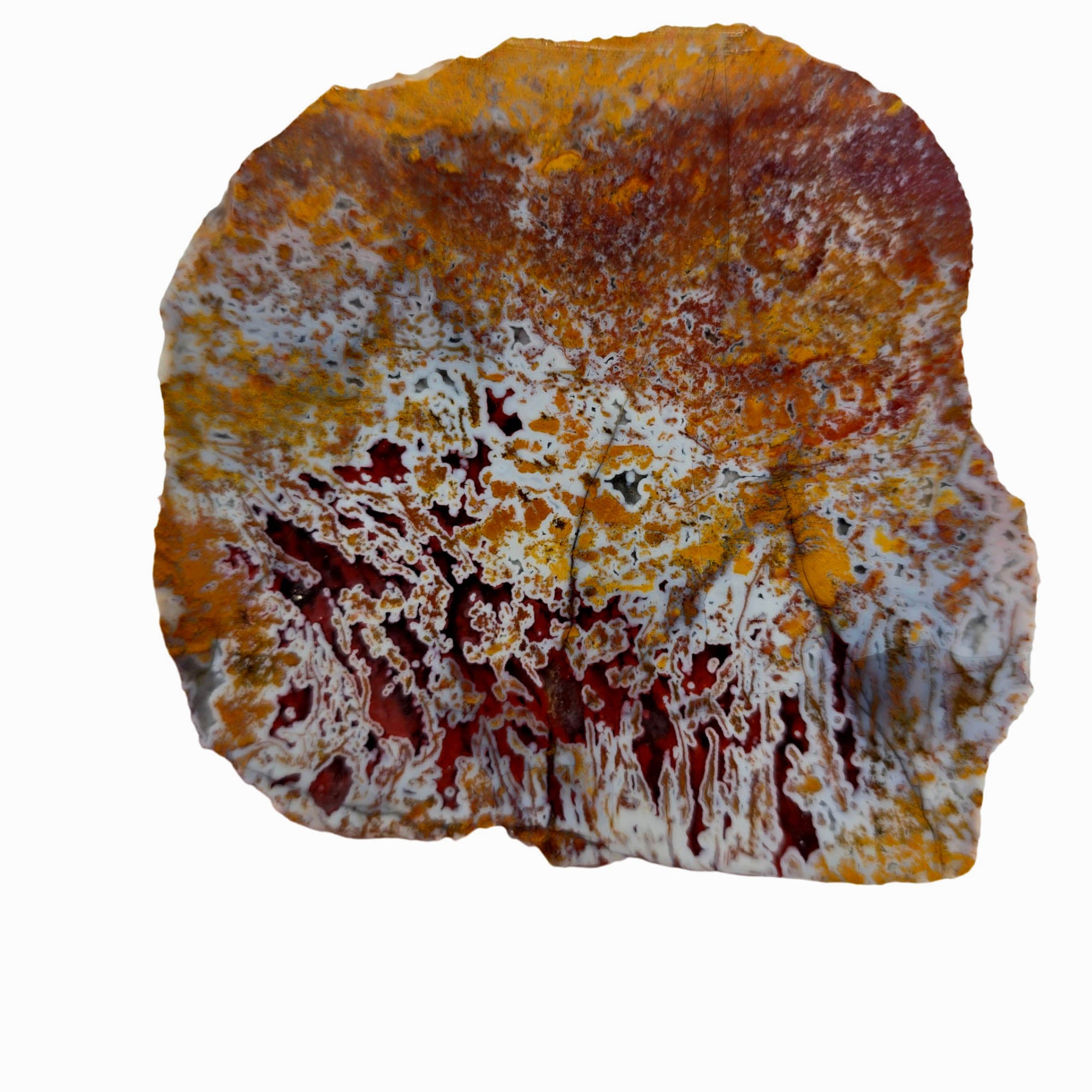 Apple Valley Agate Slab - Dark Red Stick Pseudomorphs Wet #3850-Photo1