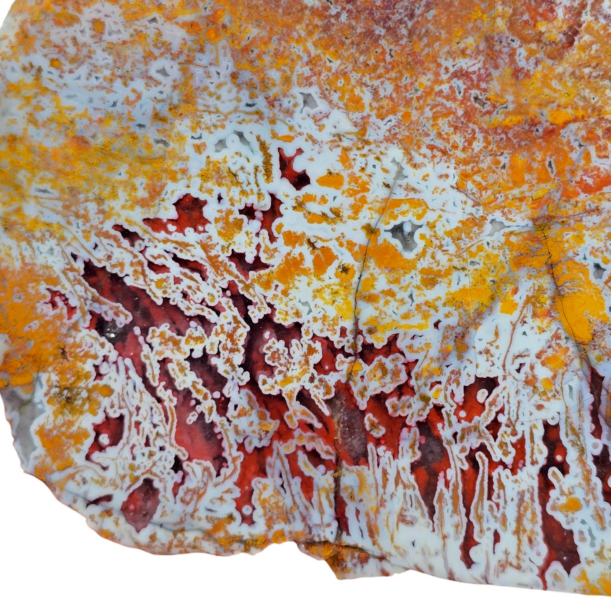 Apple Valley Agate Slab - Dark Red Stick Pseudomorphs Wet #3850-Photo2