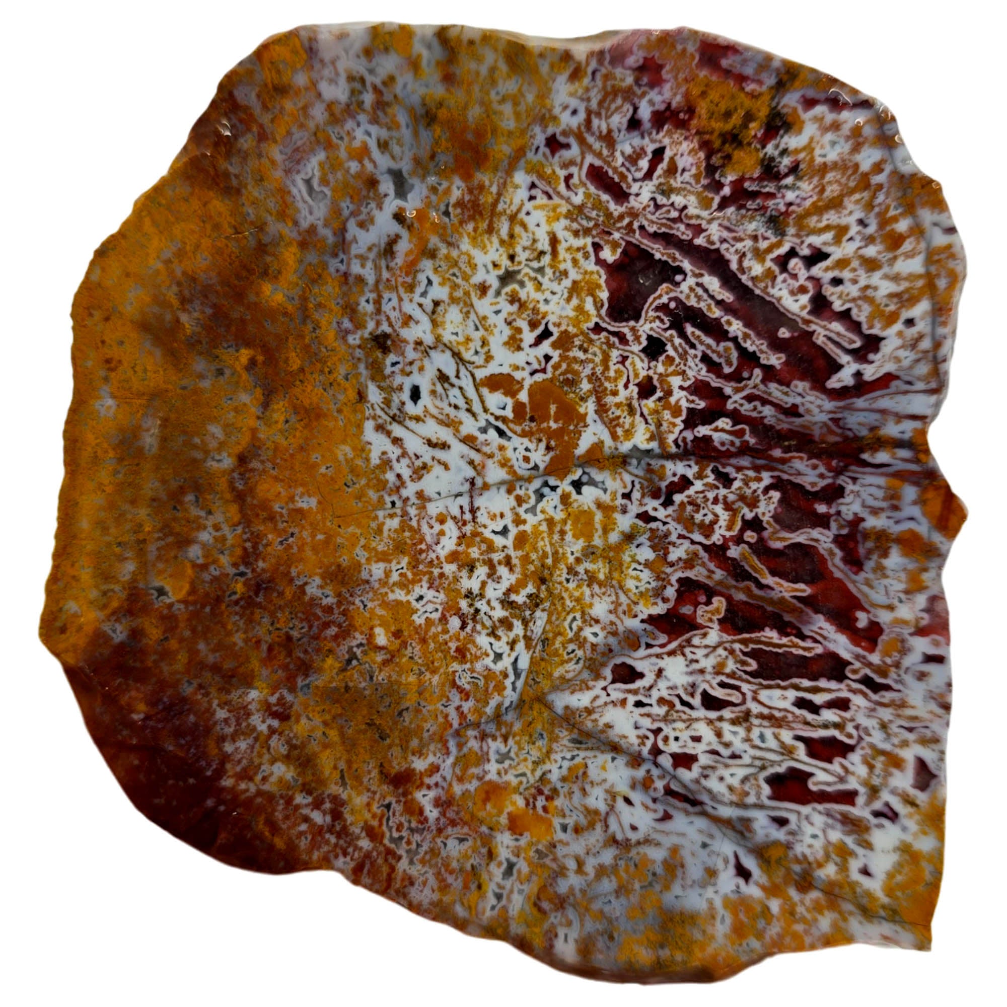 Apple Valley Agate Slab - Dark Red Stick Pseudomorphs Wet #3850-Photo3