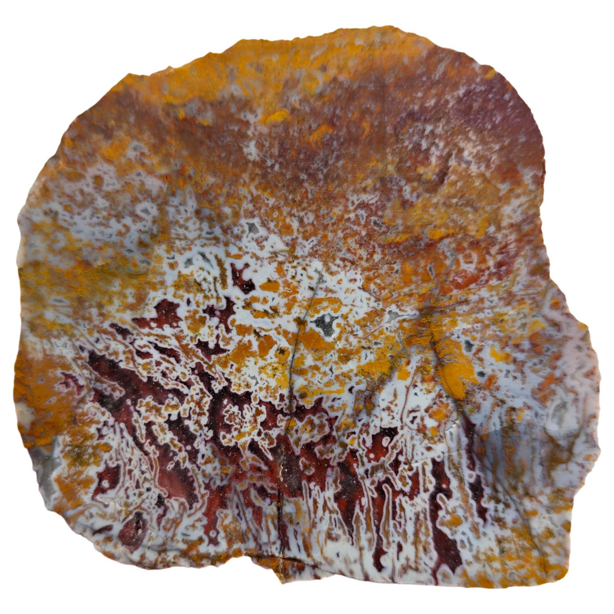 Apple Valley Agate Slab - Dark Red Stick Pseudomorphs Dry #3850-Photo4