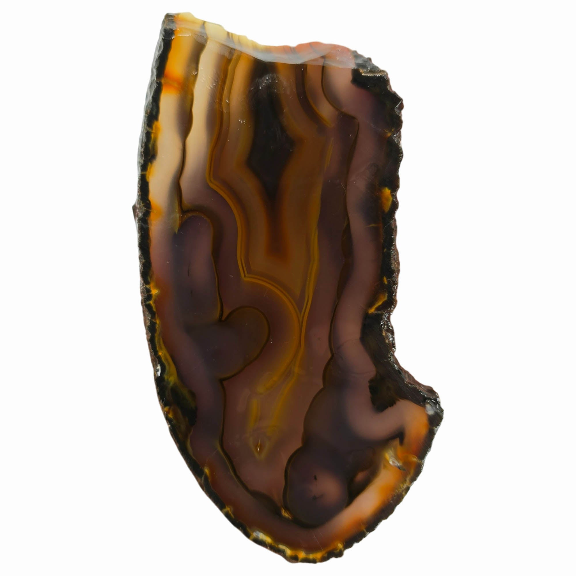 Brazilian Agate Slab – Orange Black Fortification Tube Features #3851-Photo5