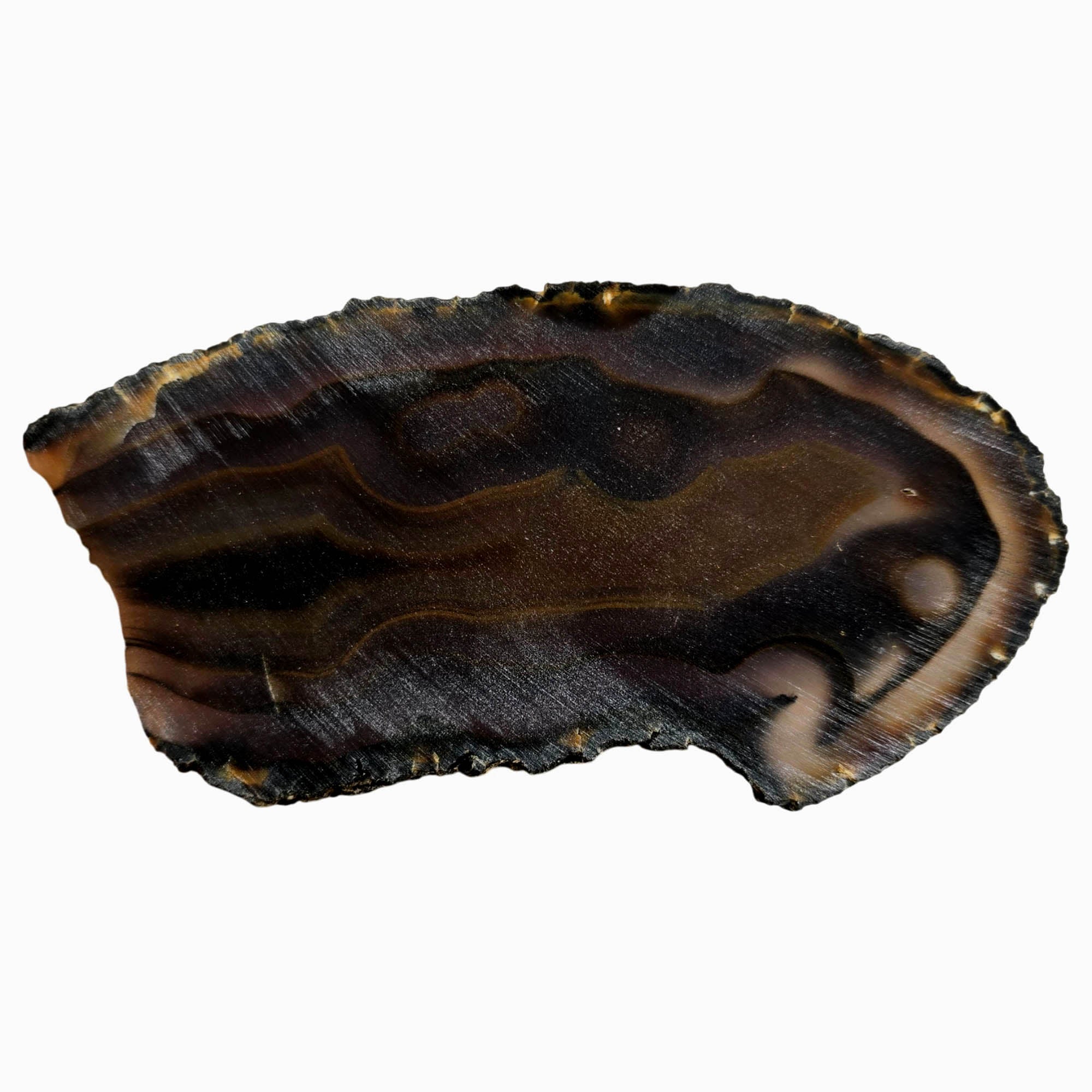 Brazilian Agate Slab Dry – Orange Black Fortification Tube Features #3851-Photo6