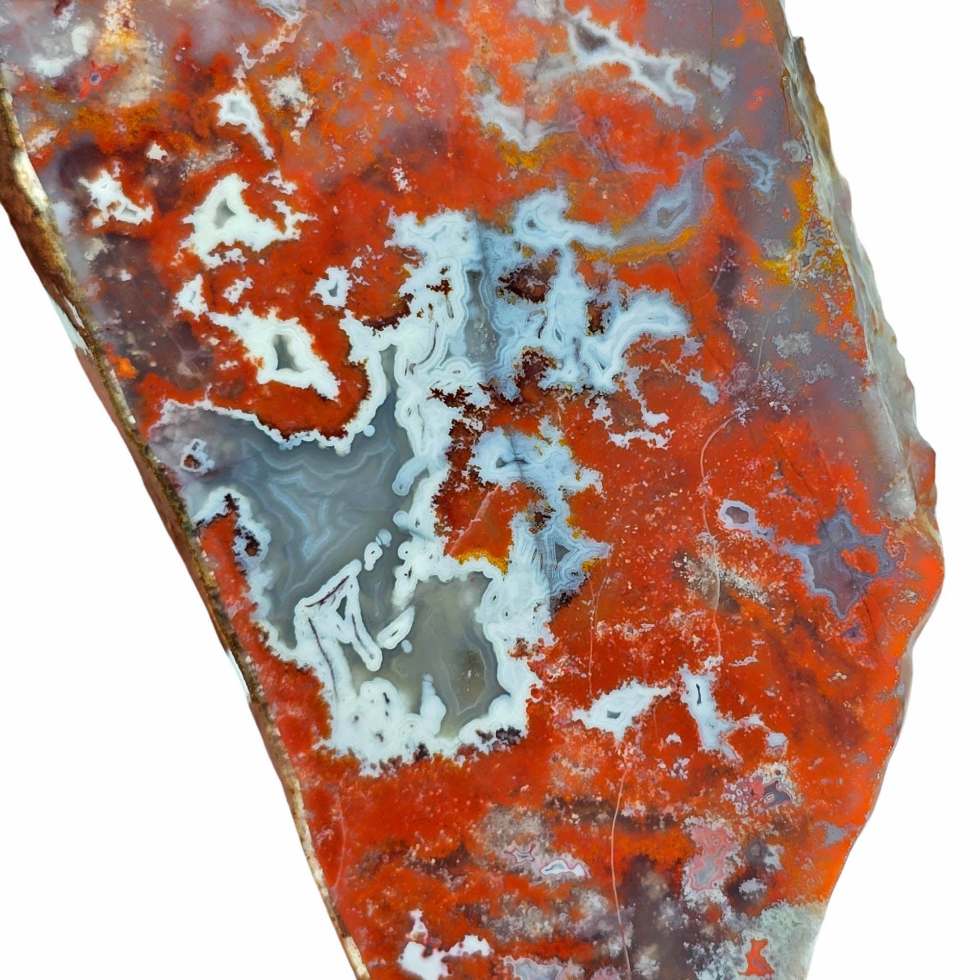 Apple Valley Agate Slab Red Moss White Fortification Sahara #3852-Photo2