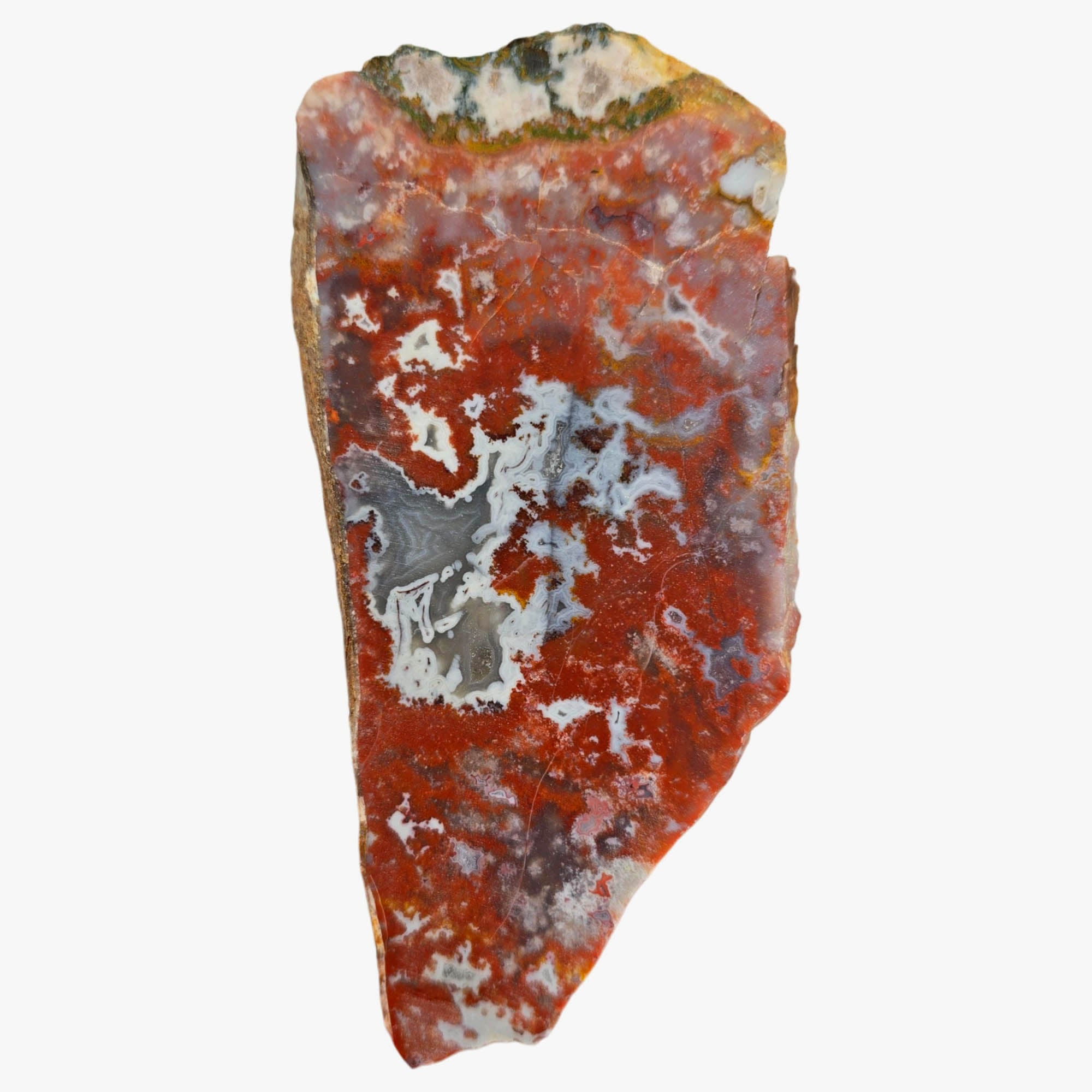 Apple Valley Agate Slab Dry Red Moss White Fortification Sahara #3852-Photo4
