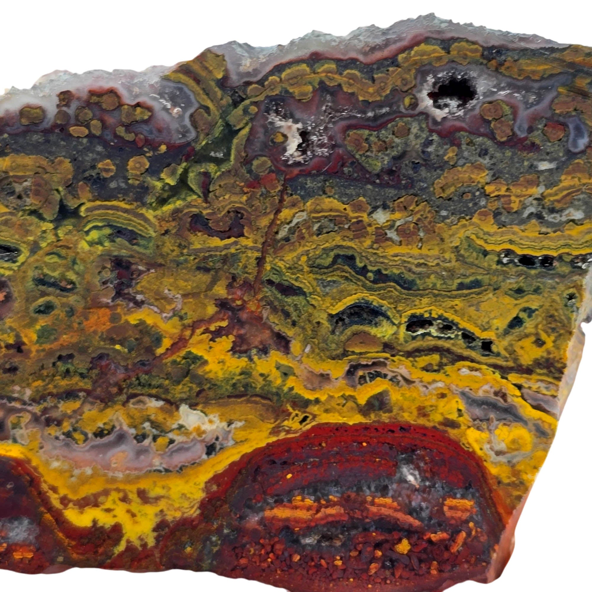 Apple Valley Jasper Slab – Stromatolites Red Hematite Drusy Sparkle #3856-Photo2