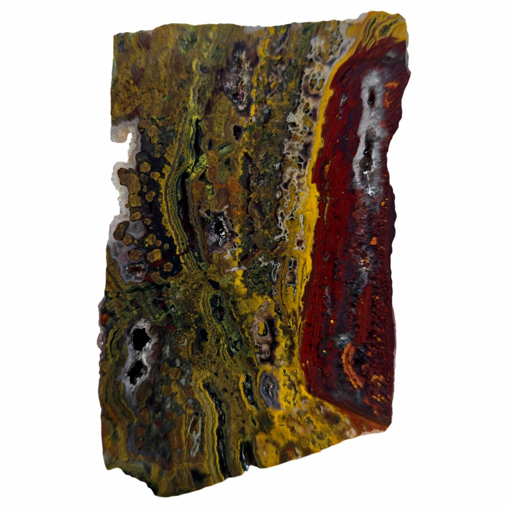 Apple Valley Jasper Slab – Stromatolites Red Hematite Drusy Sparkle #3856-Photo3