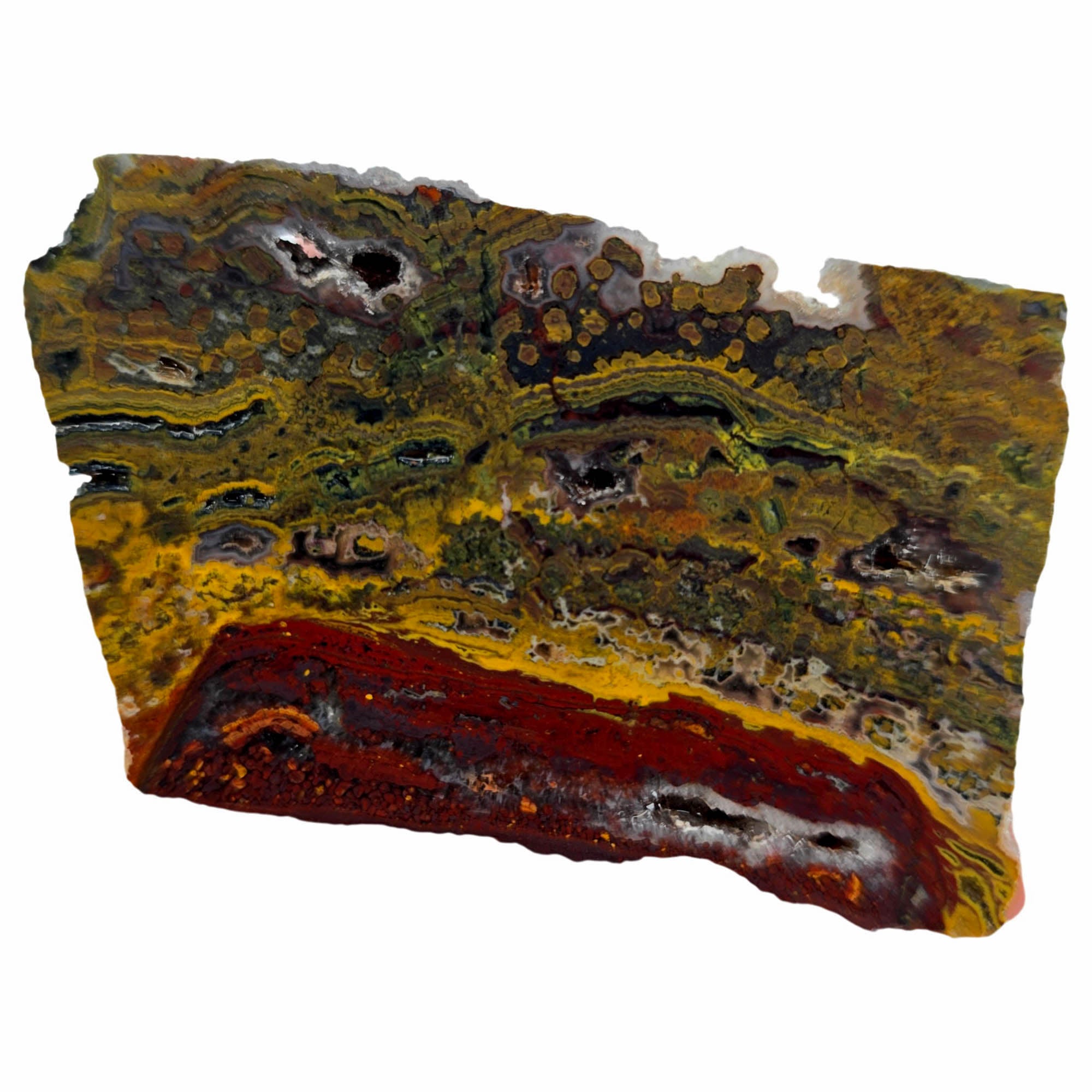 Apple Valley Jasper Slab – Stromatolites Red Hematite Drusy Sparkle #3856-Photo4