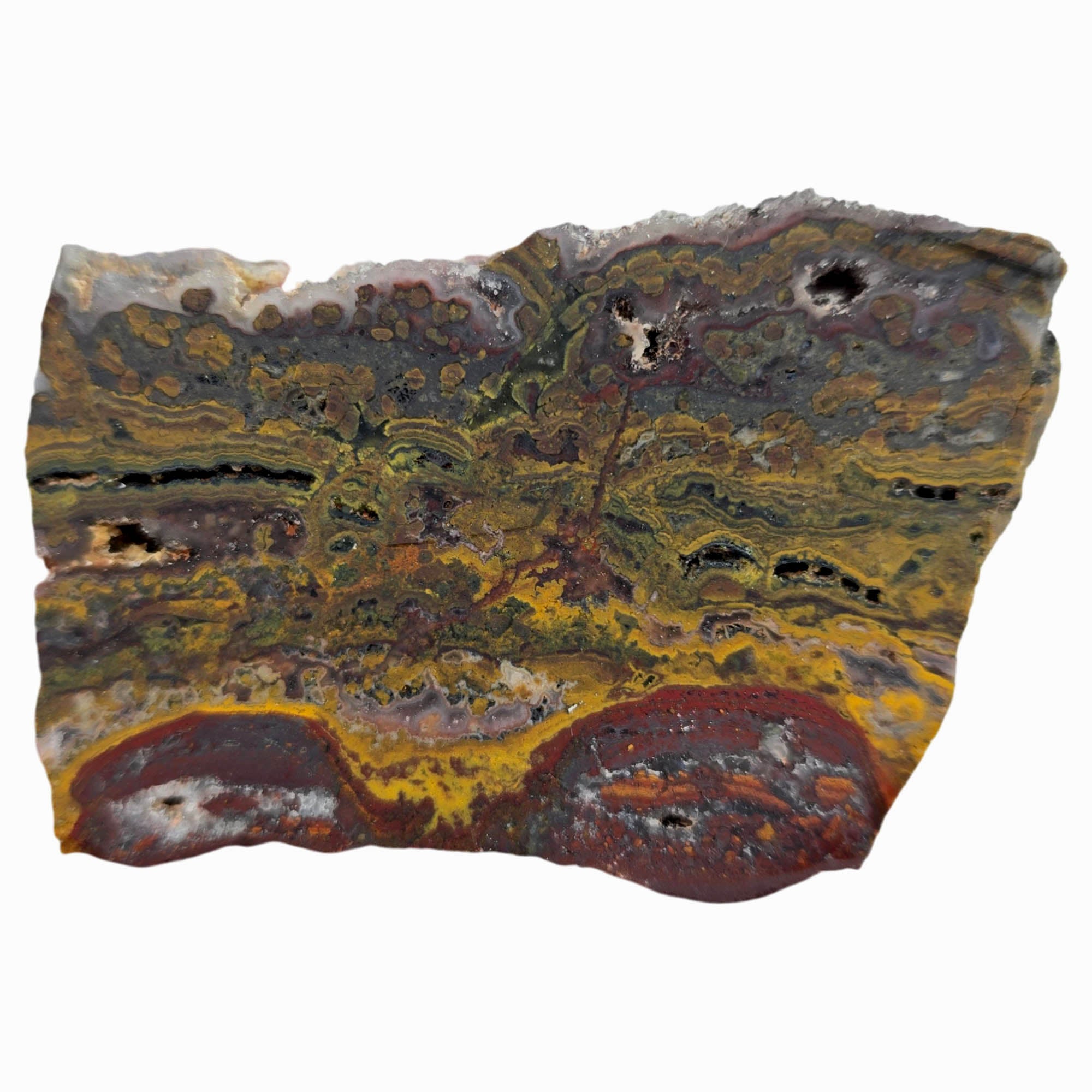 Apple Valley Jasper Slab Dry – Stromatolites Red Hematite Drusy Sparkle #3856-Photo5