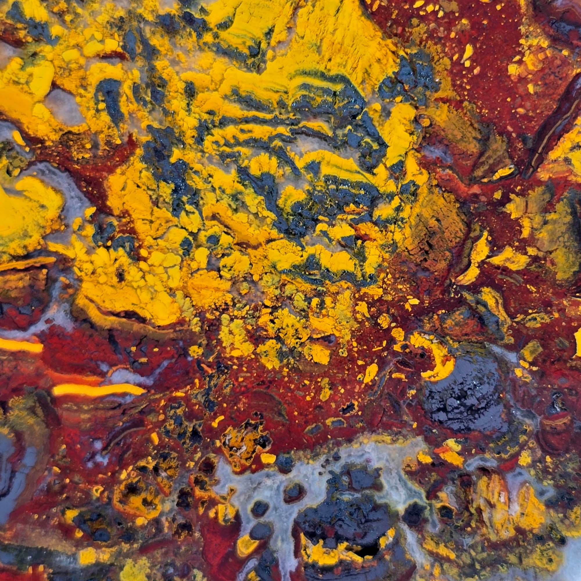 Apple Valley Jasper Slab – Hematite Flowers Golden Splashes Red Rivers #3857-Photo2