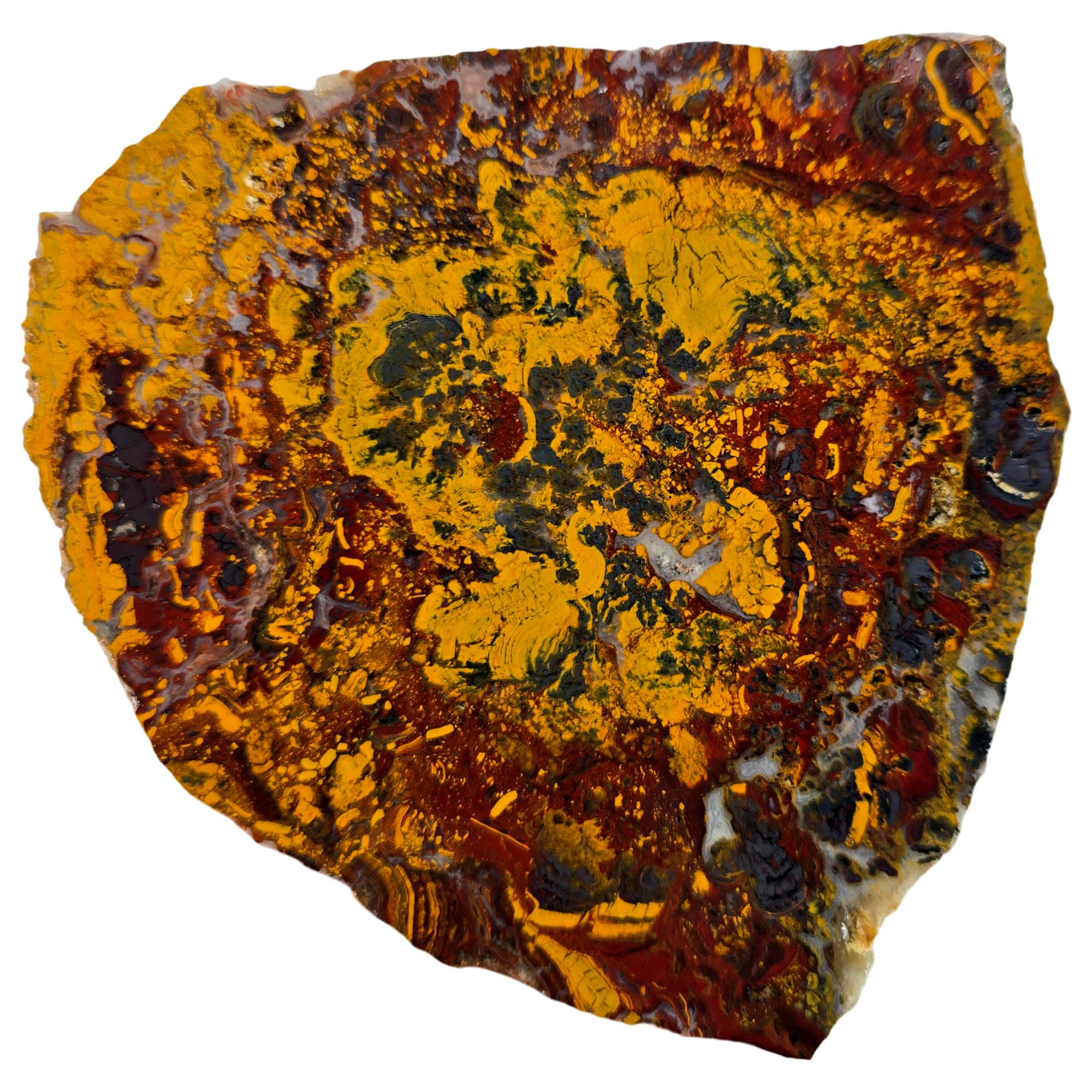 Apple Valley Jasper Slab – Hematite Flowers Golden Splashes Red Rivers #3857-Photo3