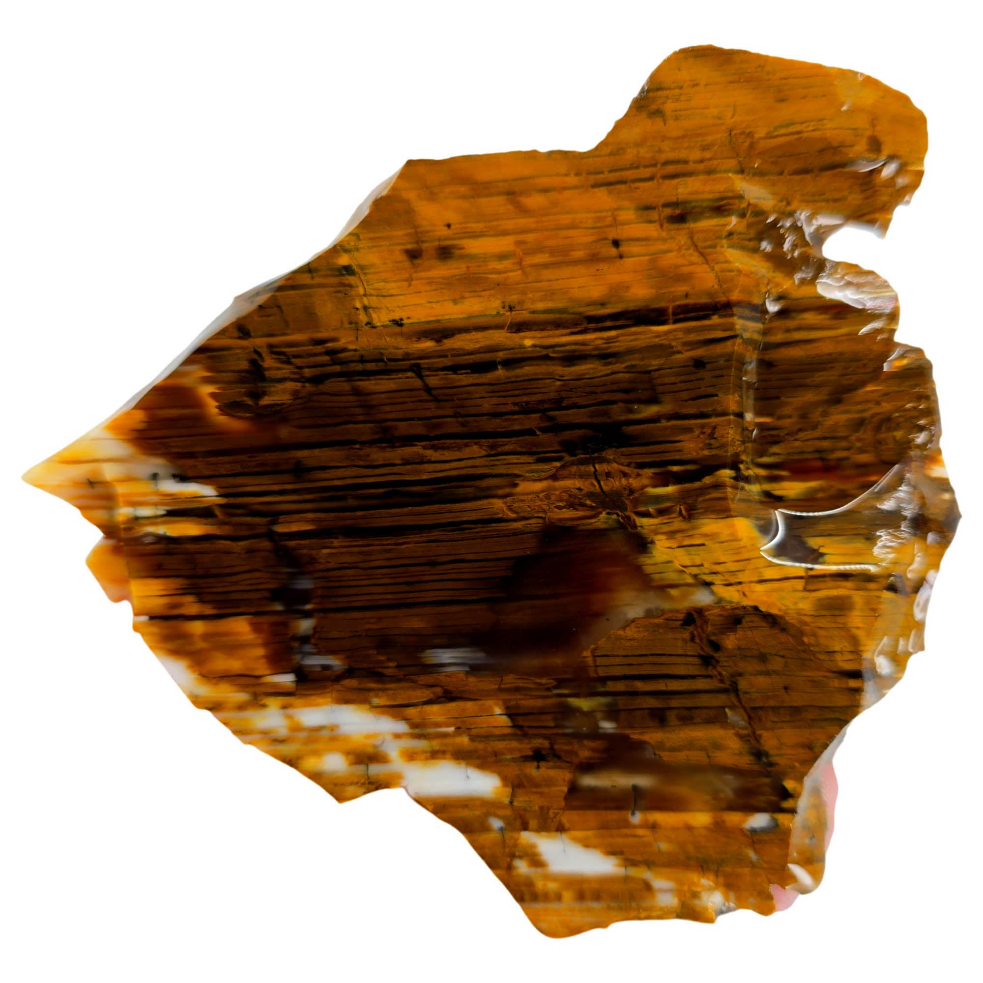 Wascoite Agate Slab – Coffee Cream Strata – Biggs Junction Oregon #3858-Photo1