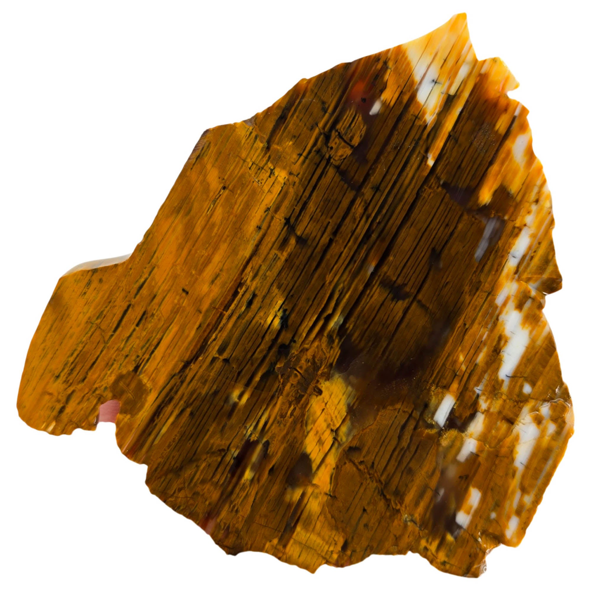 Wascoite Agate Slab – Coffee Cream Strata – Biggs Junction Oregon #3858-Photo2