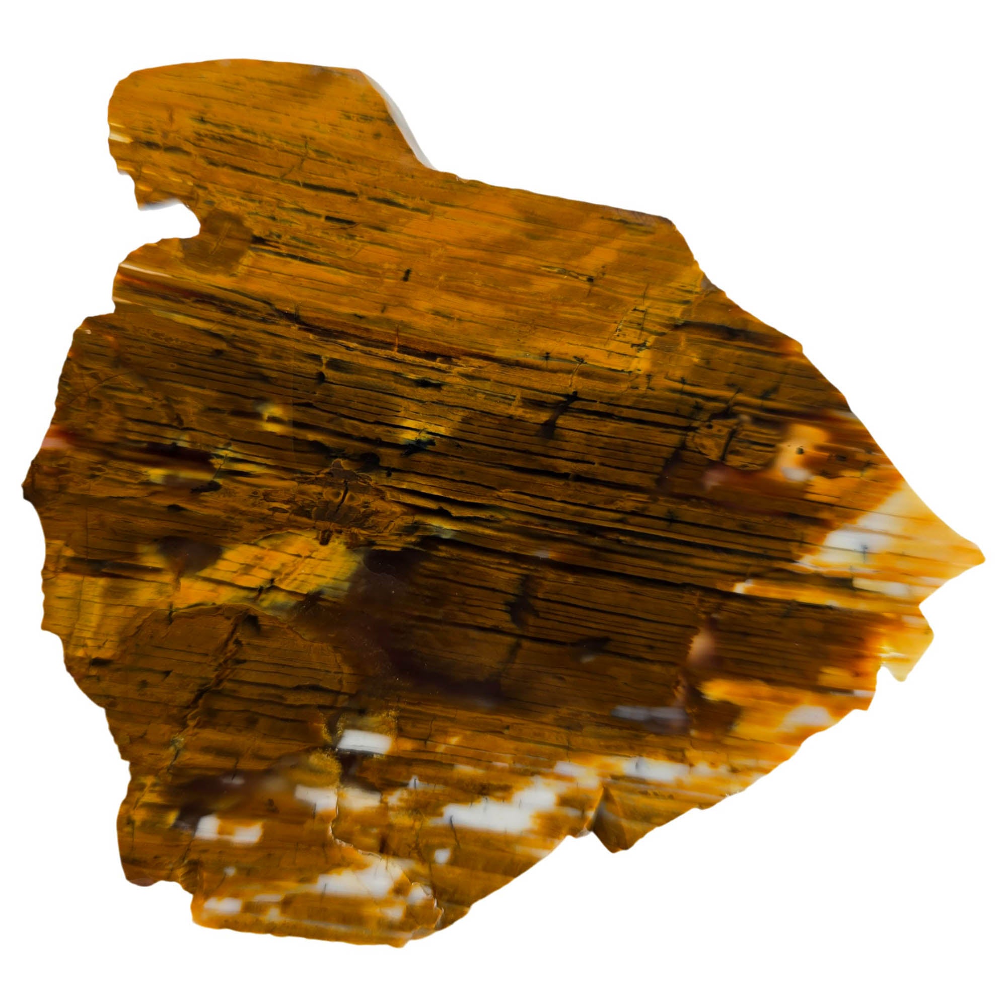 Wascoite Agate Slab – Coffee Cream Strata – Biggs Junction Oregon #3858-Photo3