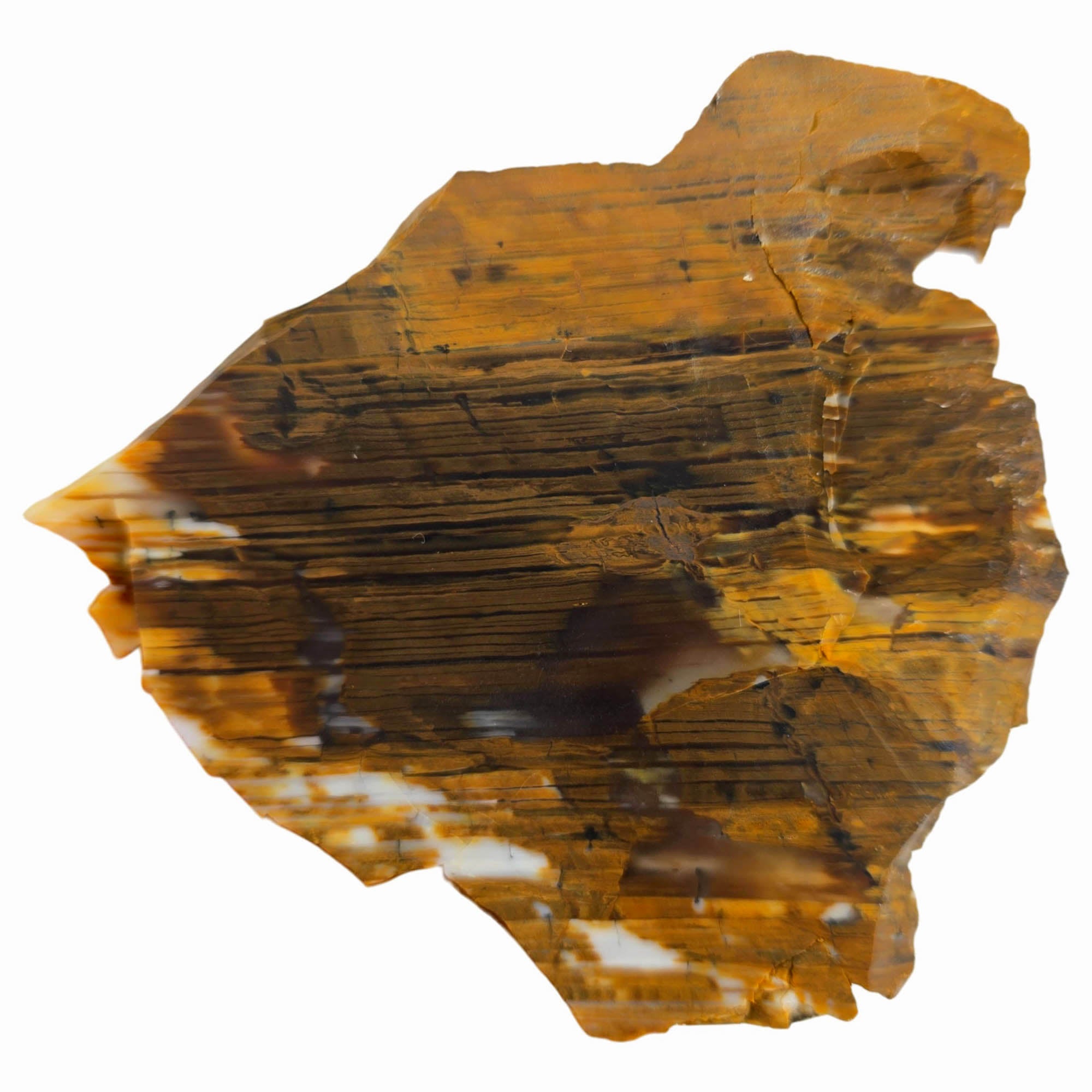 Wascoite Agate Slab Dry – Coffee Cream Strata – Biggs Junction Oregon #3858-Photo5