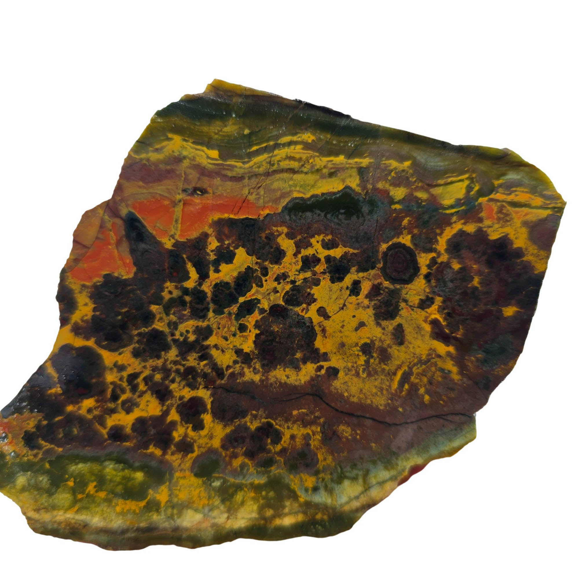 Kaleidoscope Jasper Slab – Flowering Droplets Sunset Gemstone Deposit #3860-Photo2