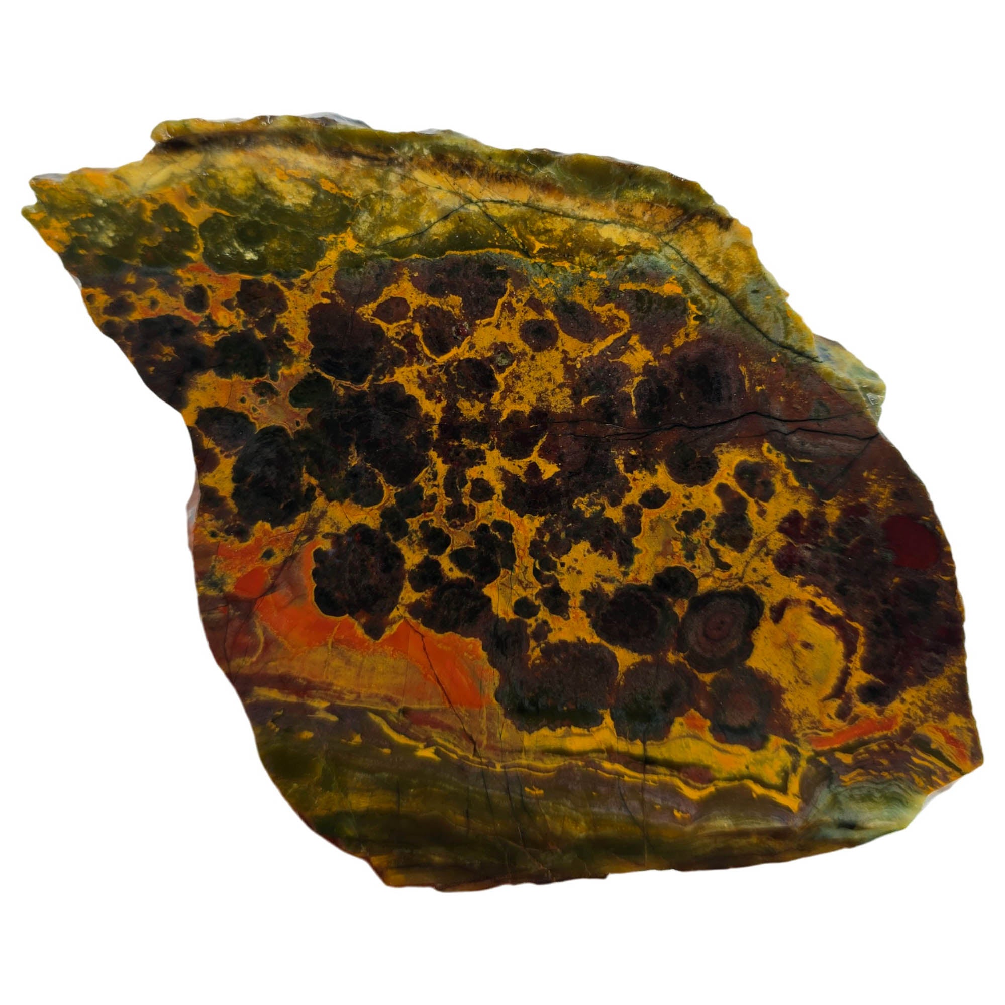 Kaleidoscope Jasper Slab – Flowering Droplets Sunset Gemstone Deposit #3860-Photo3