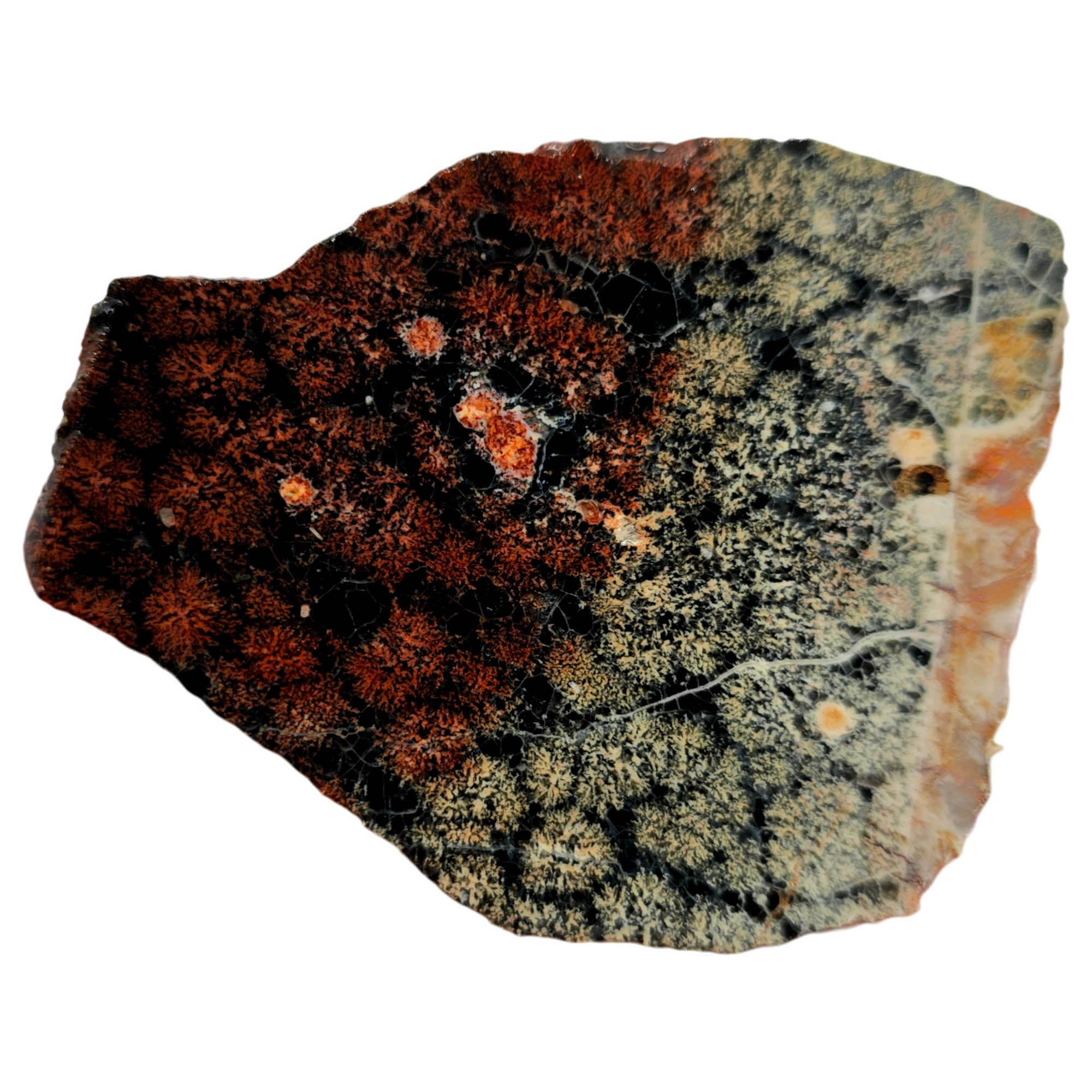 Flower Obsidian Slab Dry – White Red Flowers Stable Mexican Singing #3861-Photo3