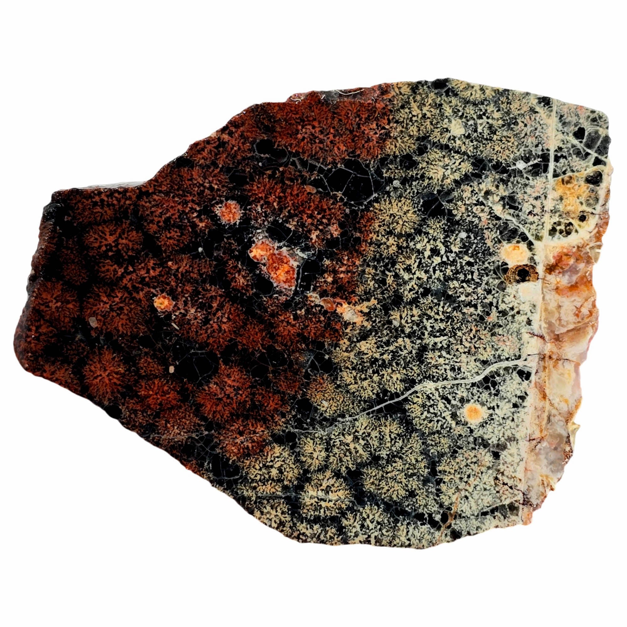 Flower Obsidian Slab Dry – White Red Flowers Stable Mexican Singing #3861-Photo4