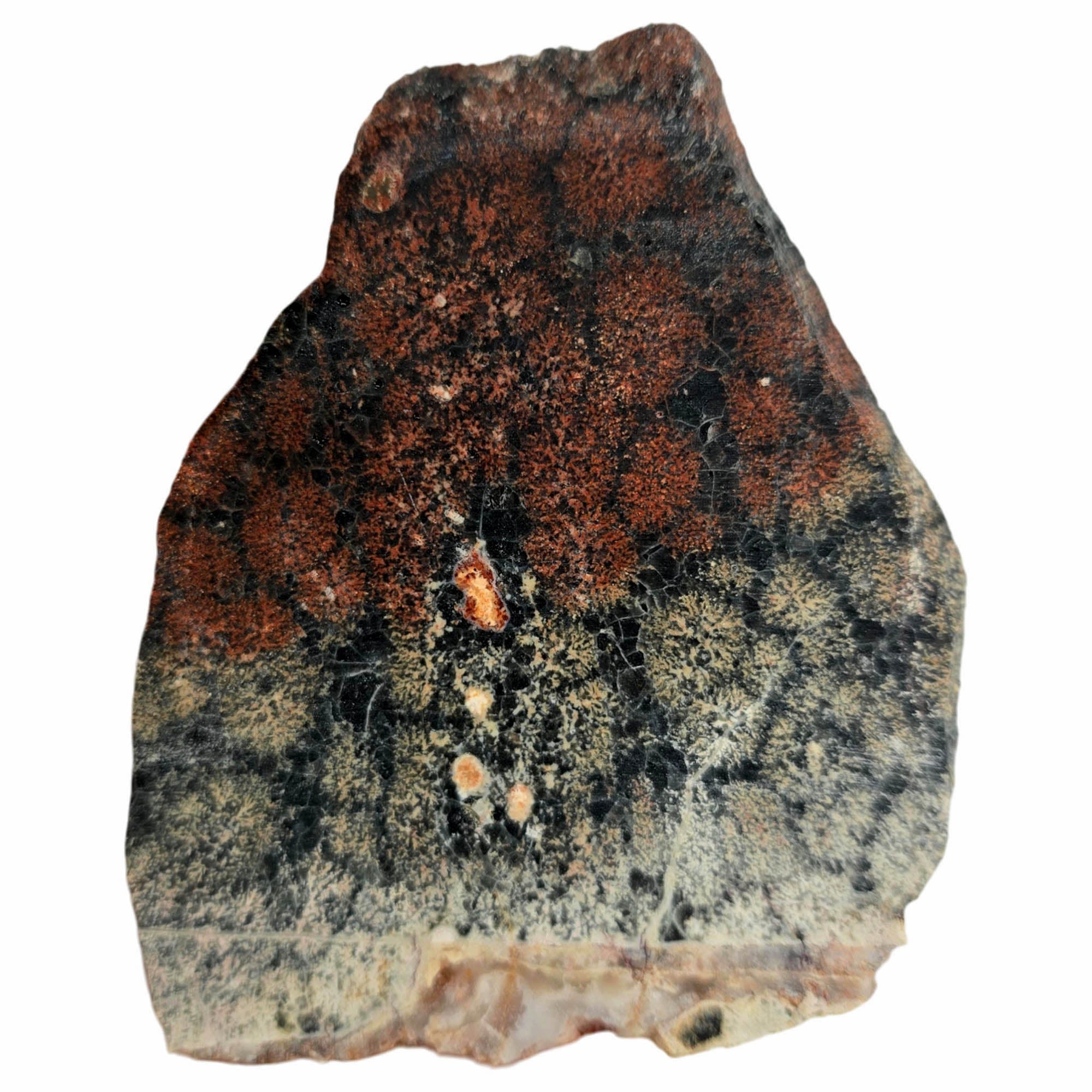 Flower Obsidian Slab Dry – White Red Flowers Stable Mexican Singing #3861-Photo5