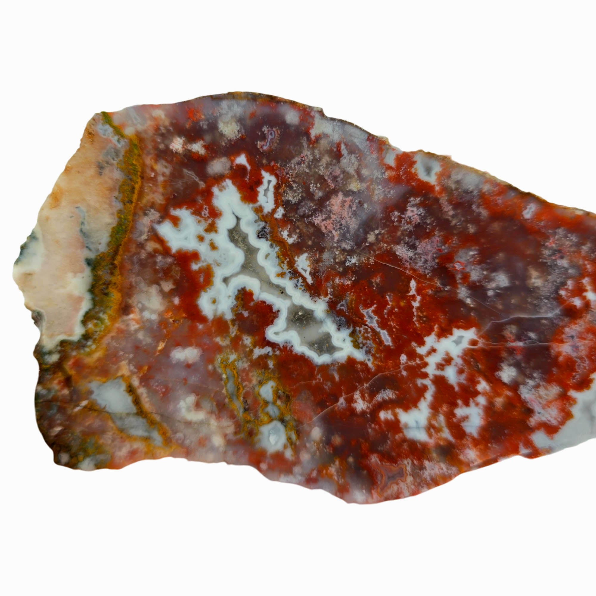 Apple Valley Agate Slab – Moss Sea White Fortification Sahara #3862-Photo2