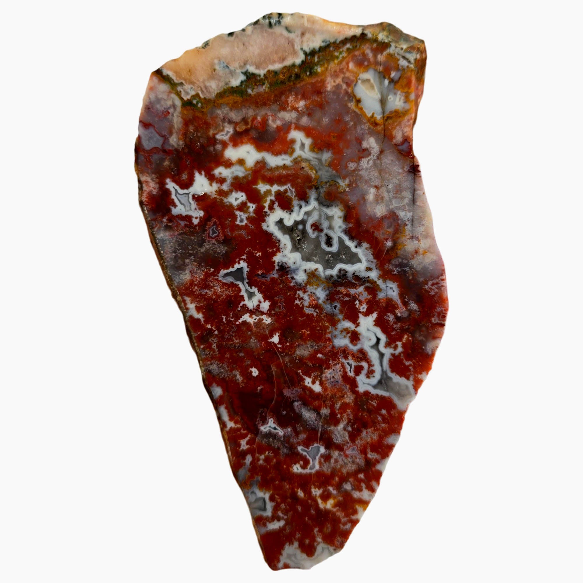 Apple Valley Agate Slab – Moss Sea White Fortification Sahara #3862-Photo3