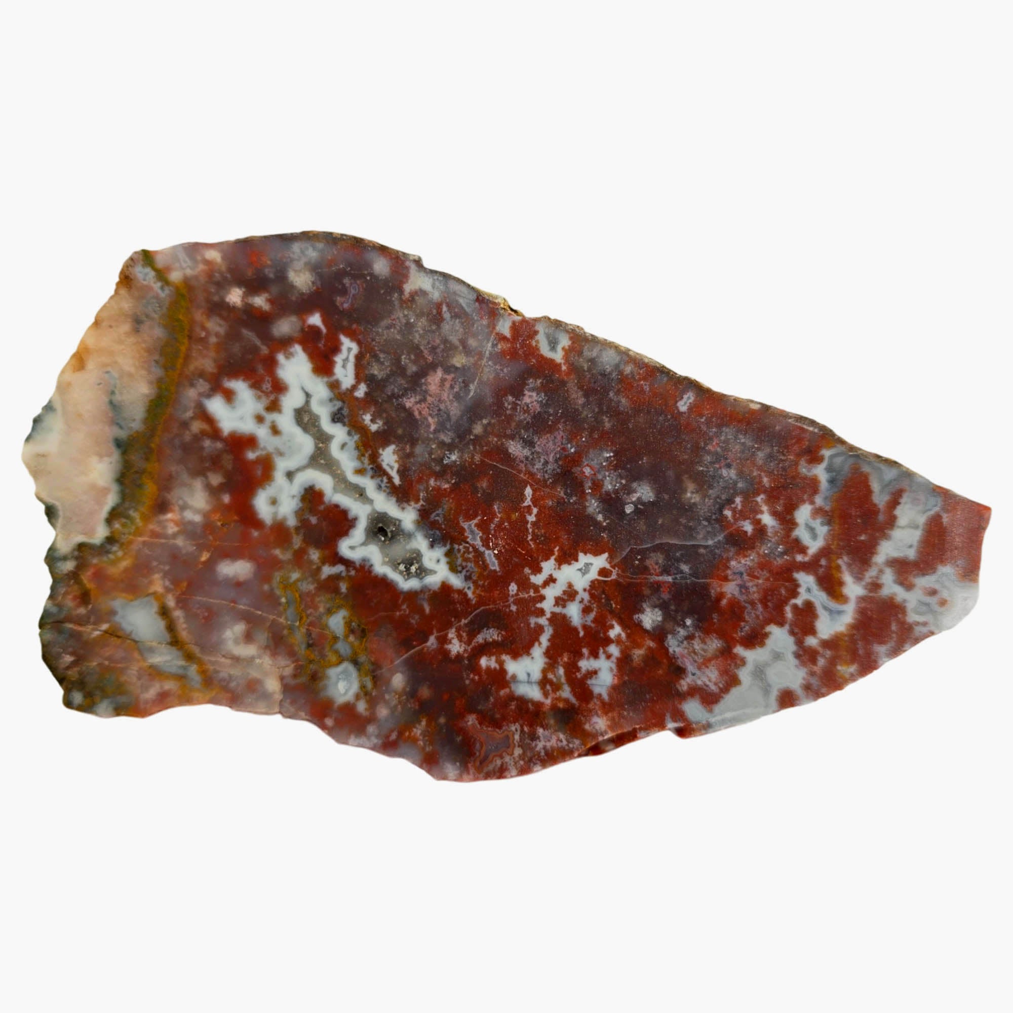 Apple Valley Agate Slab Dry – Moss Sea White Fortification Sahara #3862-Photo4