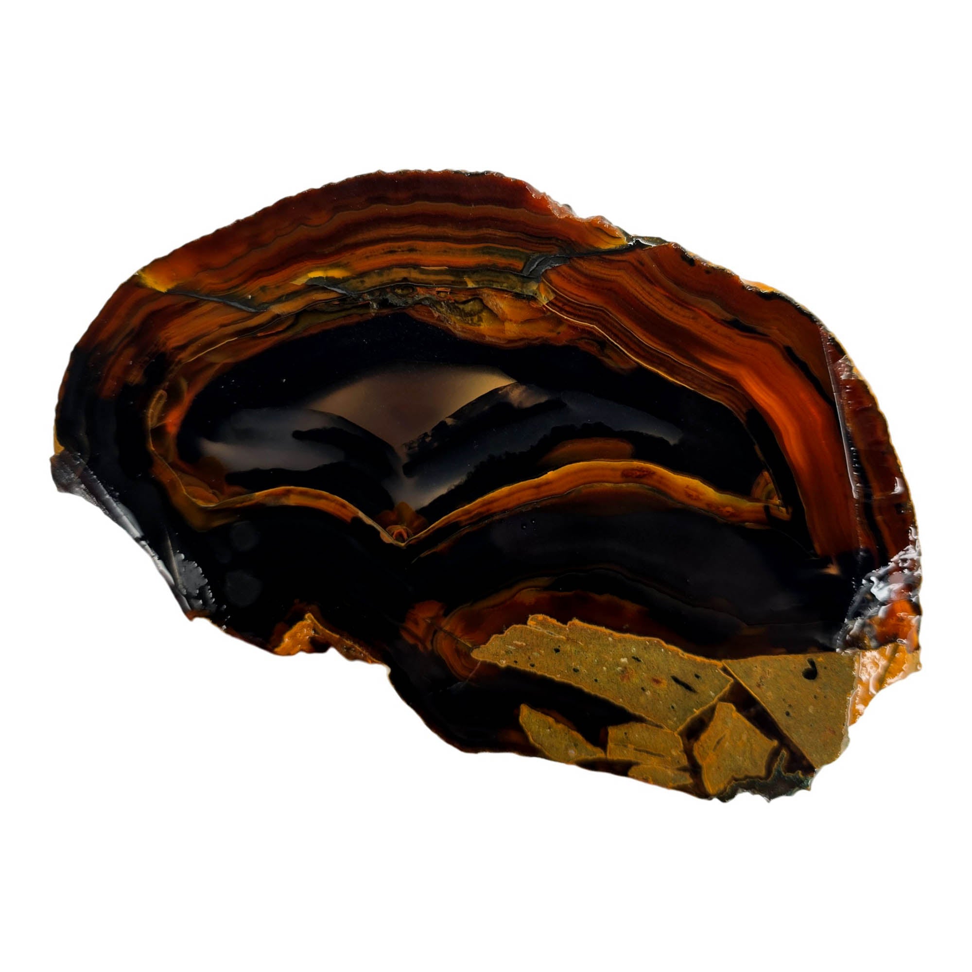 Dark Gothic Piranha Agate Slab – Brazilian Mirror Polish! #3870-Photo3