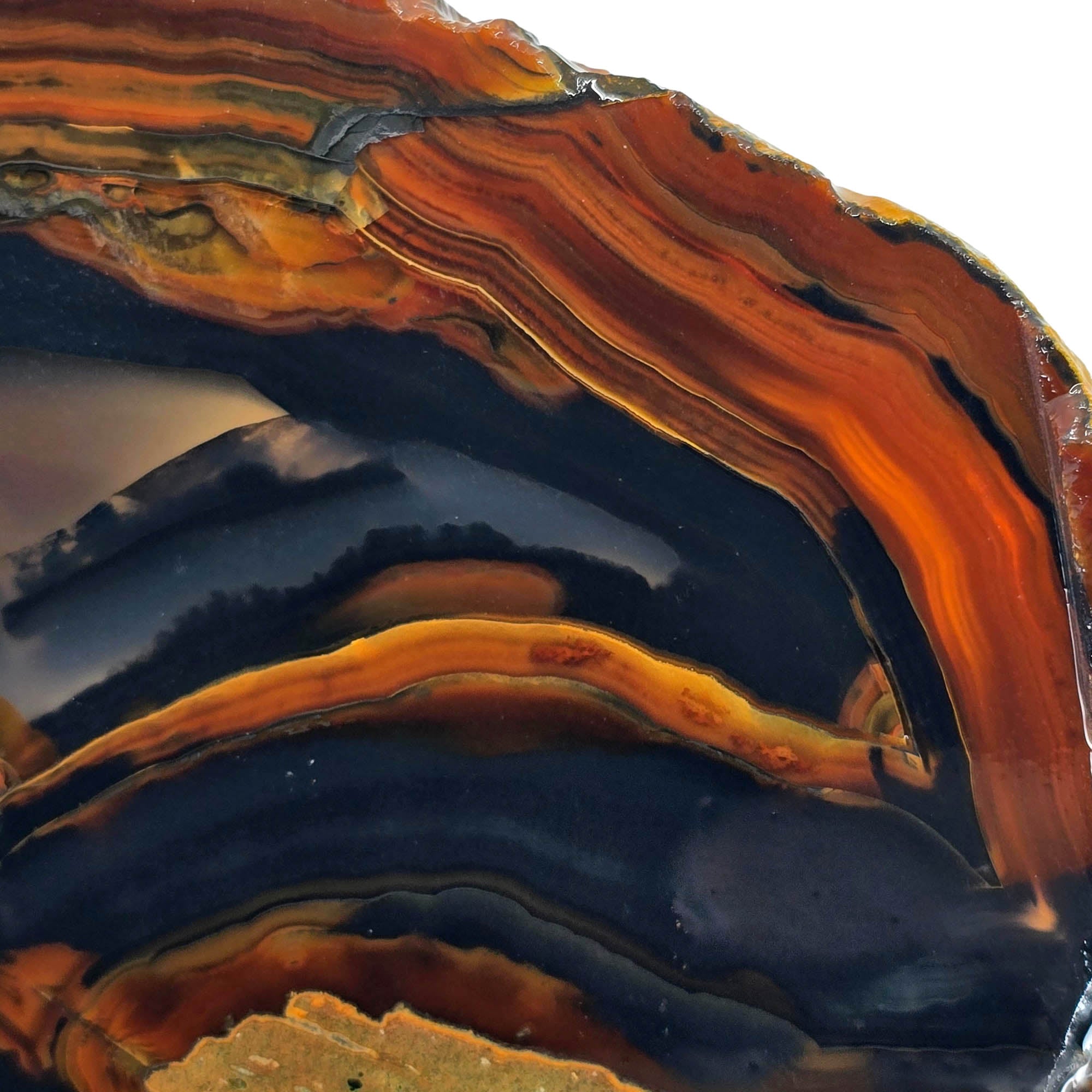 Dark Gothic Piranha Agate Slab – Brazilian Mirror Polish! #3870-Photo4