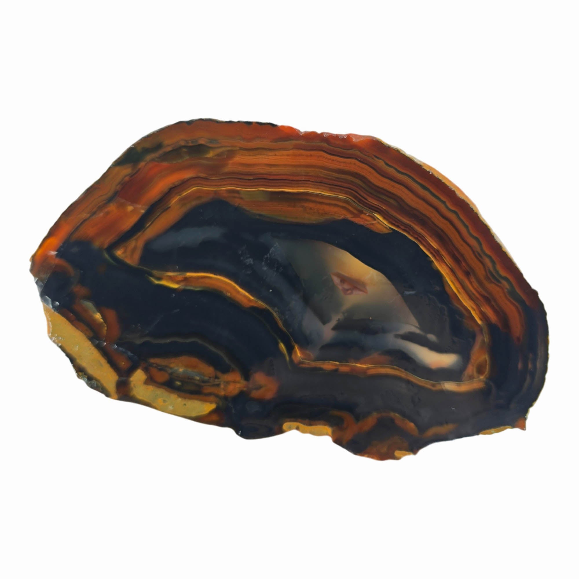 Dark Gothic Piranha Agate Slab – Brazilian Mirror Polish! #3870-Photo5