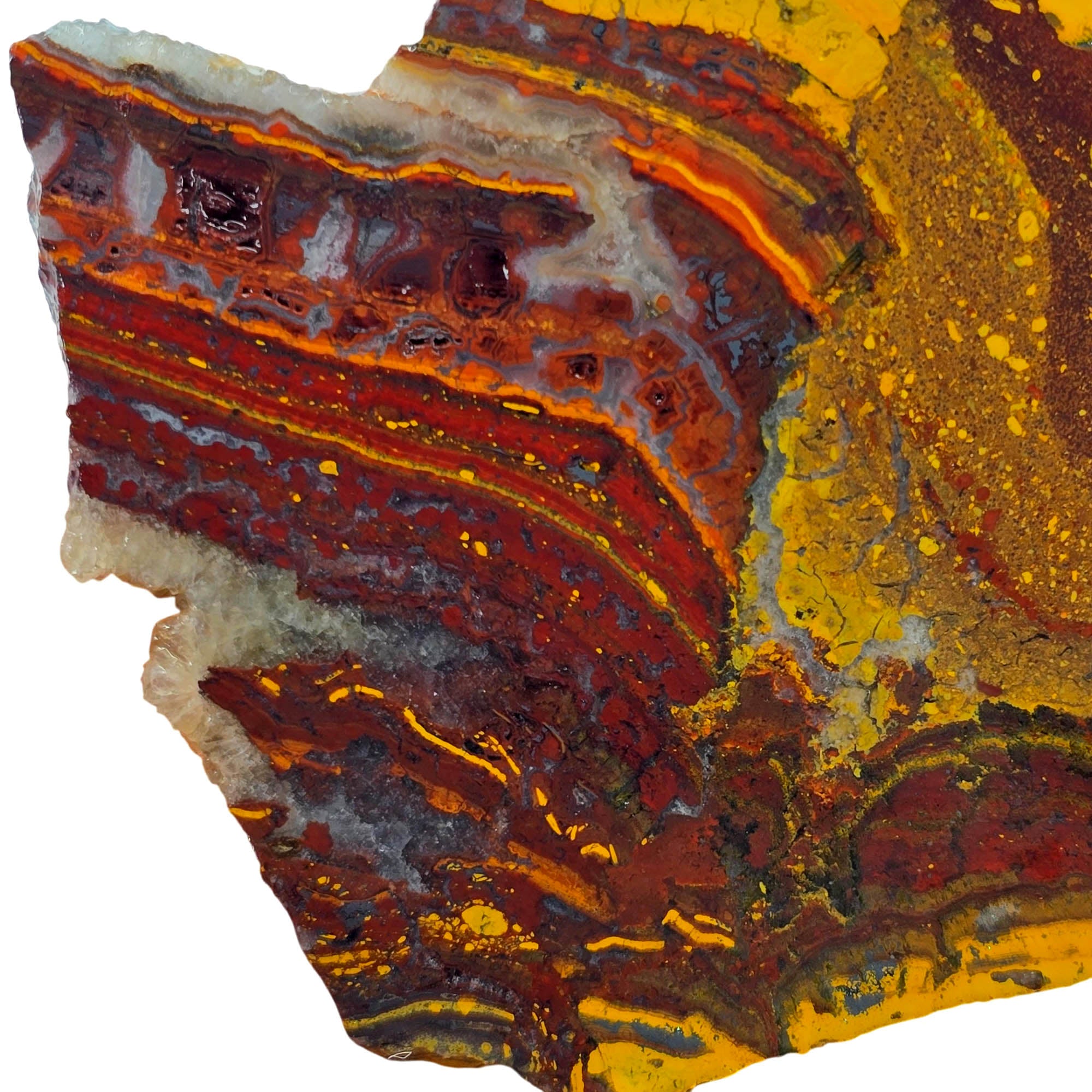 Apple Valley Jasper Slab – Bright Reds Flowing Rivers Stromatolite! #3871-Photo2