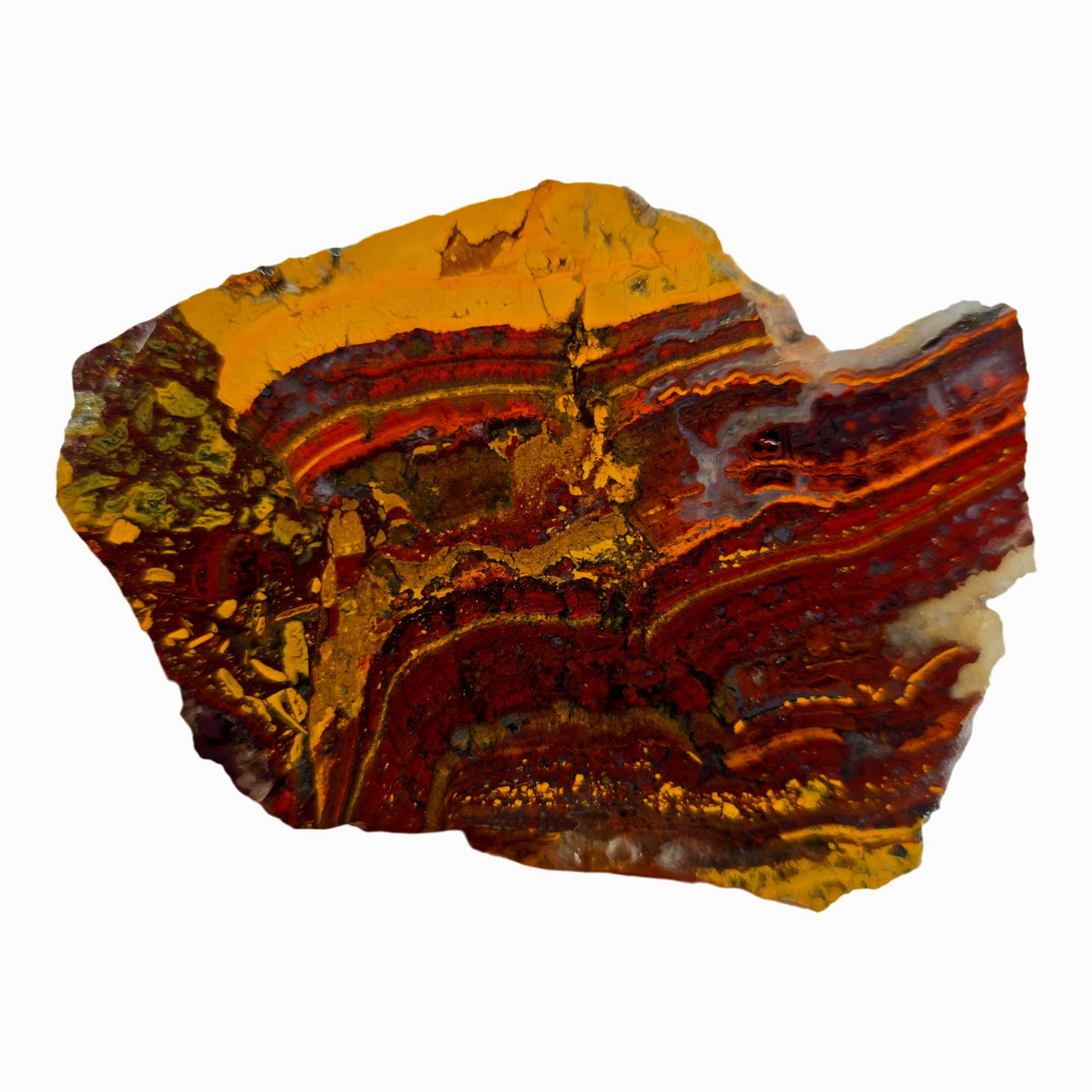 Apple Valley Jasper Slab – Bright Reds Flowing Rivers Stromatolite! #3871-Photo3