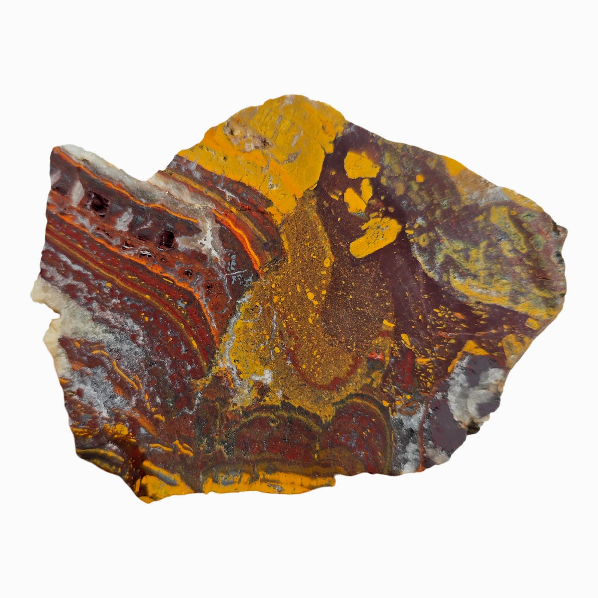 Apple Valley Jasper Slab Dry – Bright Reds Flowing Rivers Stromatolite! #3871-Photo4