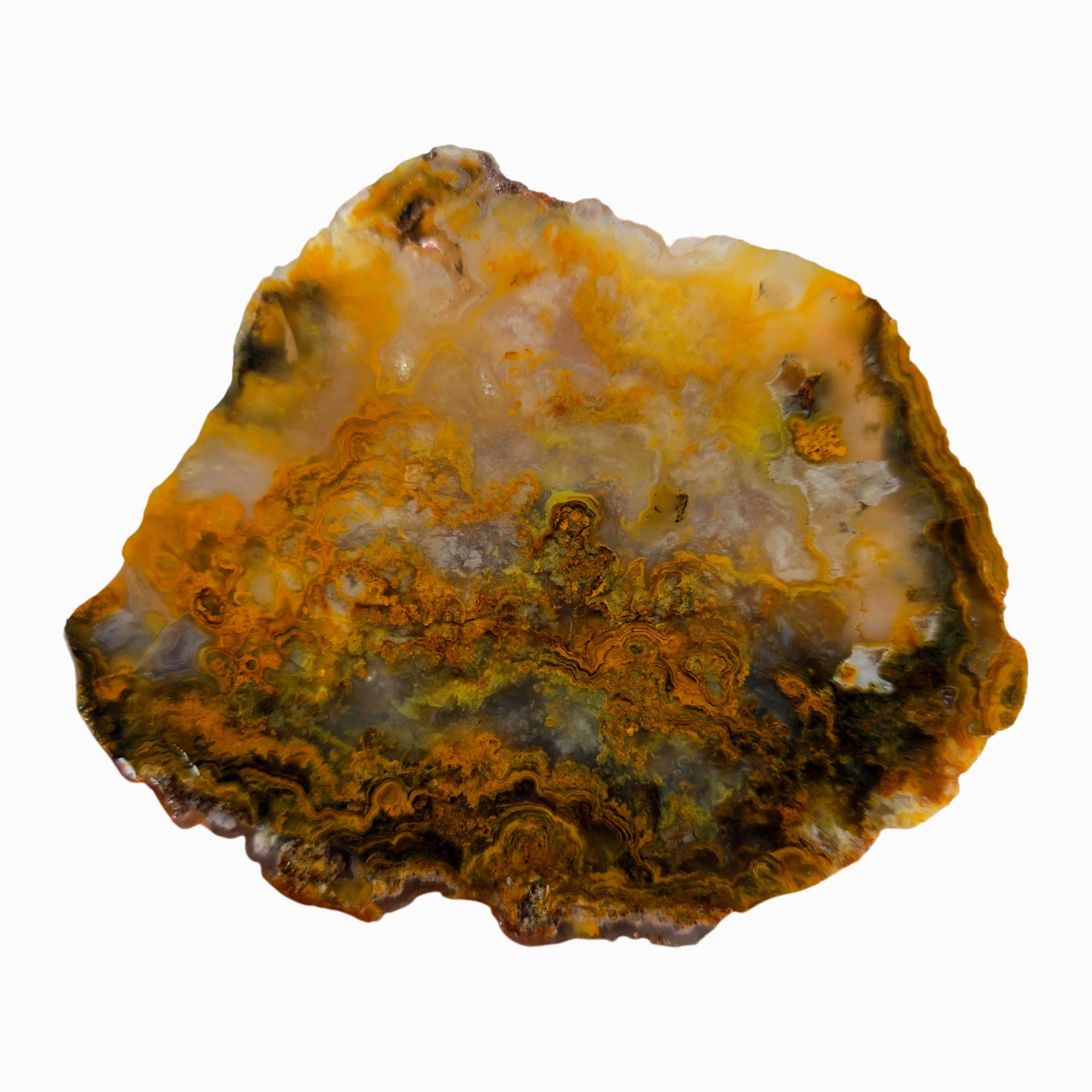 Jumpin' Jeep Plume Agate Slab – Oil Paint Pattern Butterscotch #3874-1