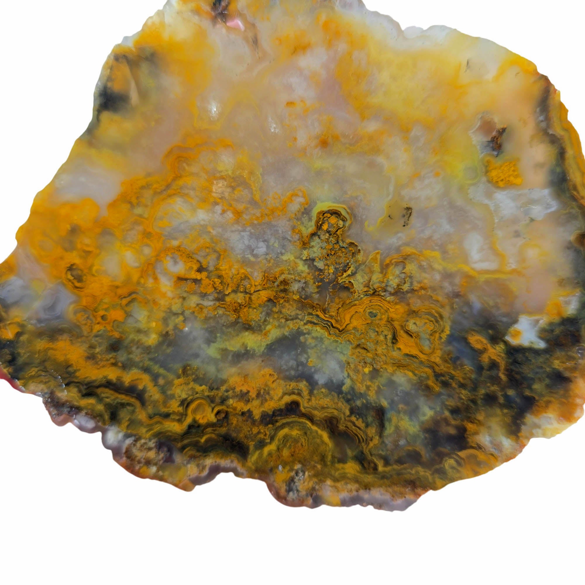 Jumpin' Jeep Plume Agate Slab – Oil Paint Pattern Butterscotch #3874-2